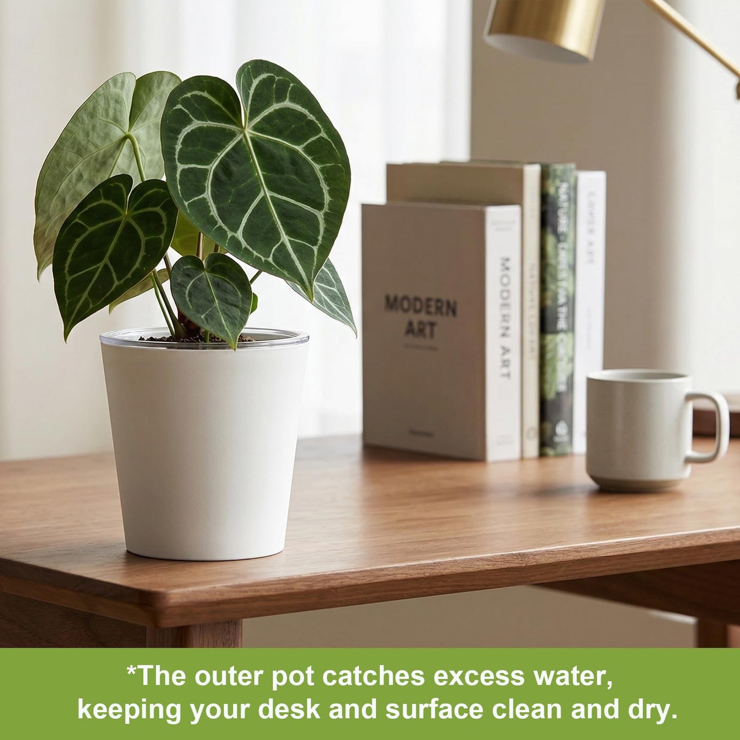 TineDew 4 Pack of 7in and 5in Double-Layer Self-Watering Pot with Clear Nursery Pot - Indoor Planter with Drainage for Root Visibility,semi Hydro pots for repotting Orchids,Aroid or Monstera,White