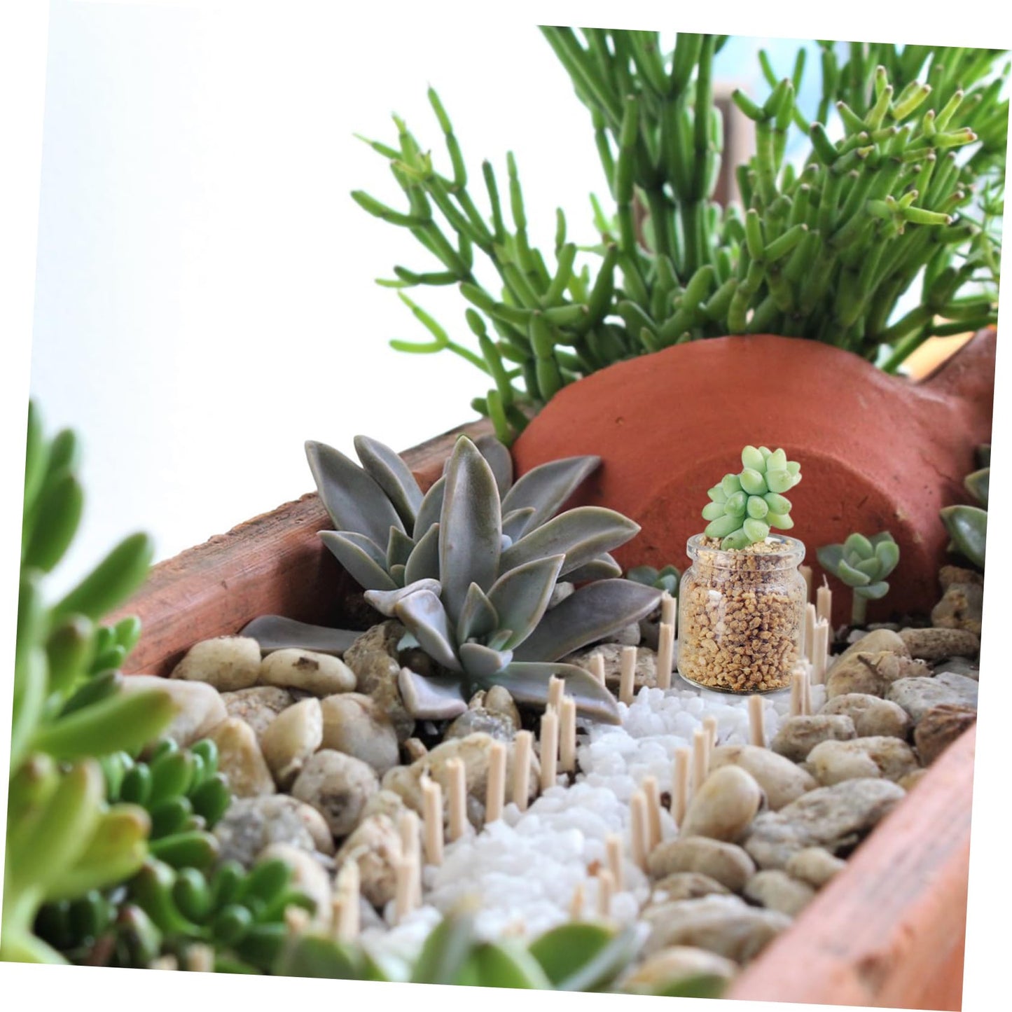 POPETPOP 10pcs Mini Succulent Glass Bottle Landscape Bottle Decoration Terrarium for Air Plants Test Tube Vials Micro Landscape Eco