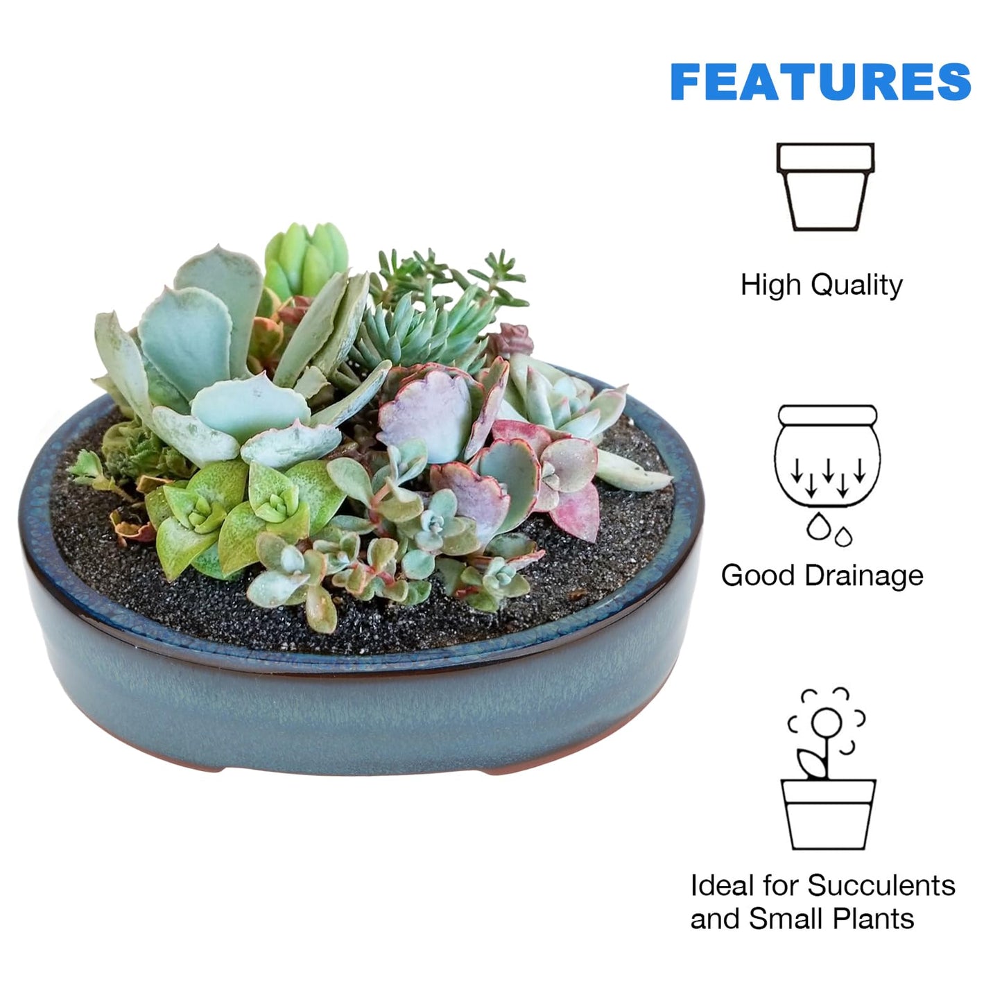 Bonsai Planter Succulent 5.9" Small Glazed Pots Value Set 2 + 4 Soft Mesh Drainage Screens
