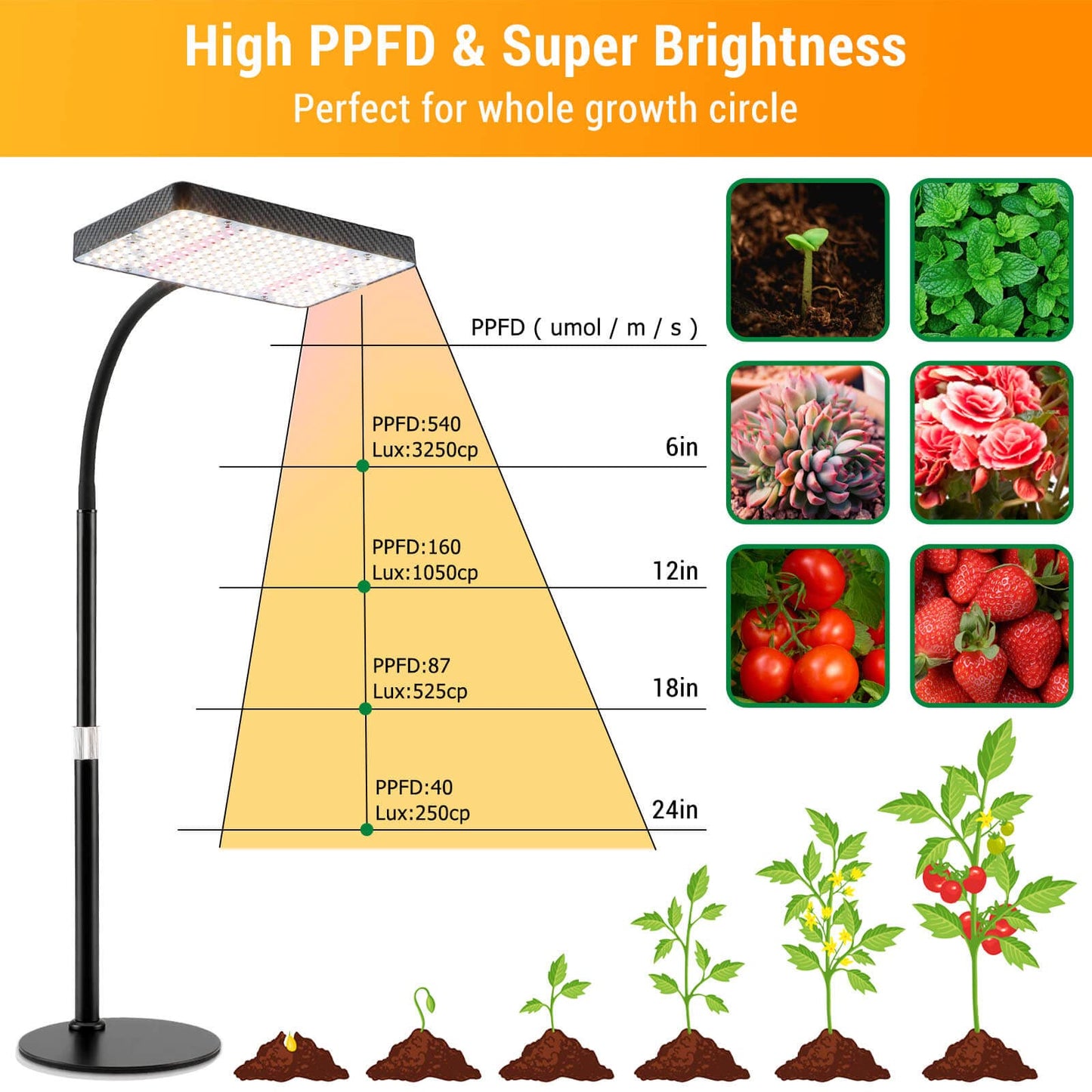 FECiDA Desk Grow Lights for Indoor Plants, Bonsai, Seed Starting, Table Top Grow Light UV-IR Full Spectrum, 25 Watt Power Draw, Bright Enough LED Growing Lamp, 16"-24" Height Adjustable