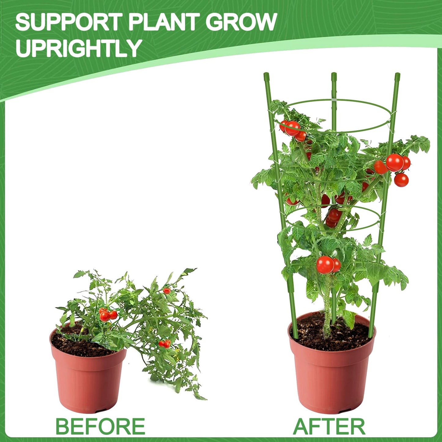 KLS 3 Pack Tomato Cage for Pots Plant Support, Upgrade 36 Inches Tomato Cages for Garden, Pepper Cage Trellis Kit with Plant Tie and Clips (36")