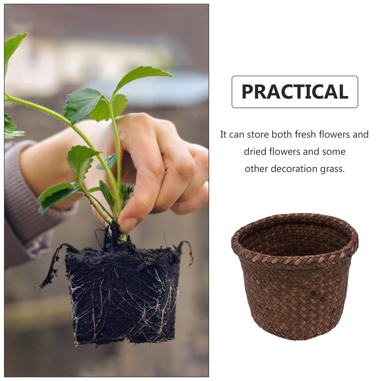 NUOBESTY Round Seagrass Planter Basket: 5.5x7.1" Woven Pots Cover Plant Pots Containers - Wicker Plant Basket Desktop Sundries Container - for
