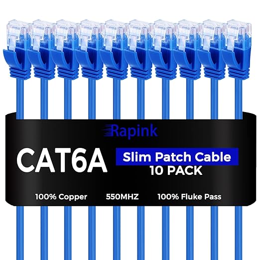 Rapink Cat6a 5ft Ethernet Cables (10 Pack) - Slim, 10G Support, Snagless, Flexible with Gold Plated Connectors