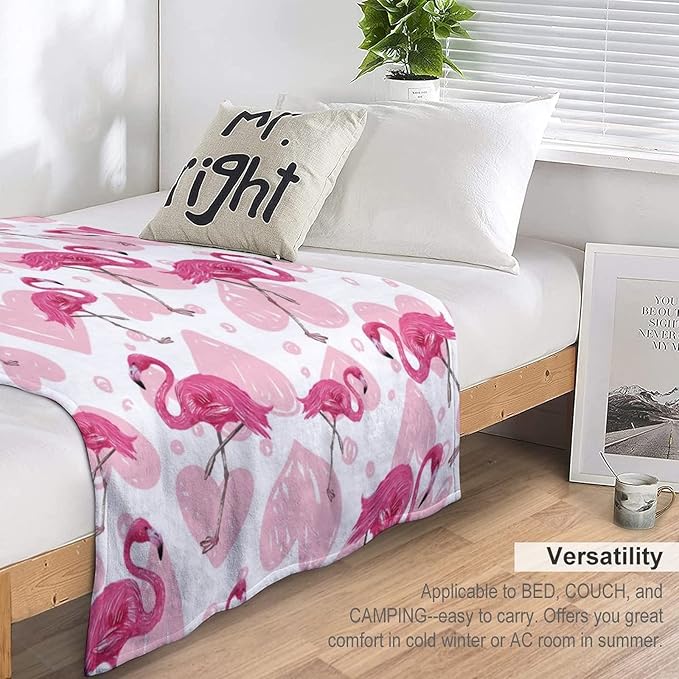 Flamingo Blanket Gifts - 60 x 80 Inches Cute Flamingo Throw for Women - Light Pink Flurry Soft Plush Blankets for Living Room