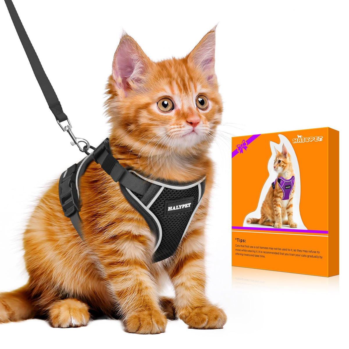 Cat Harness and Leash Set,Escape Proof Kitten Harness,Orange