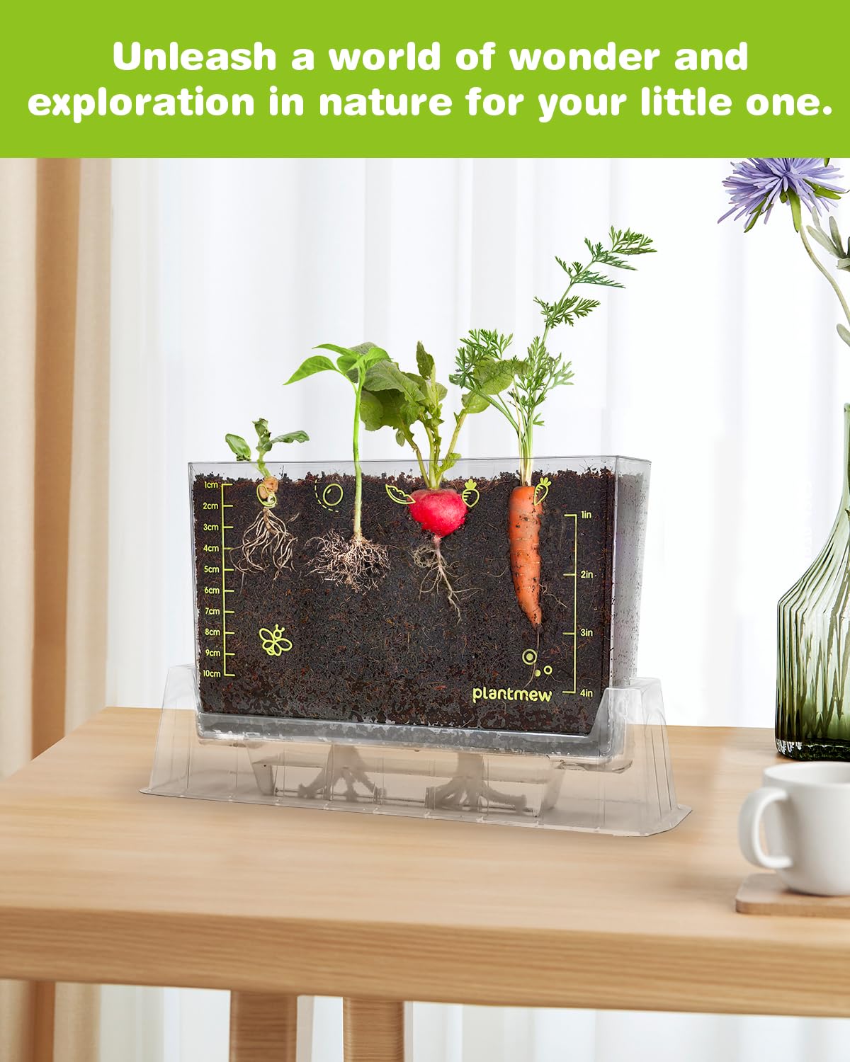 Root Viewer Kit for Kids with 6 Seed Varieties - STEM Science Kits for Kids Age 5-7, 8-12 | Perfect Christmas, Easter, Birthday Gift & School Gardening Project | Learning Educational Gardening Toys