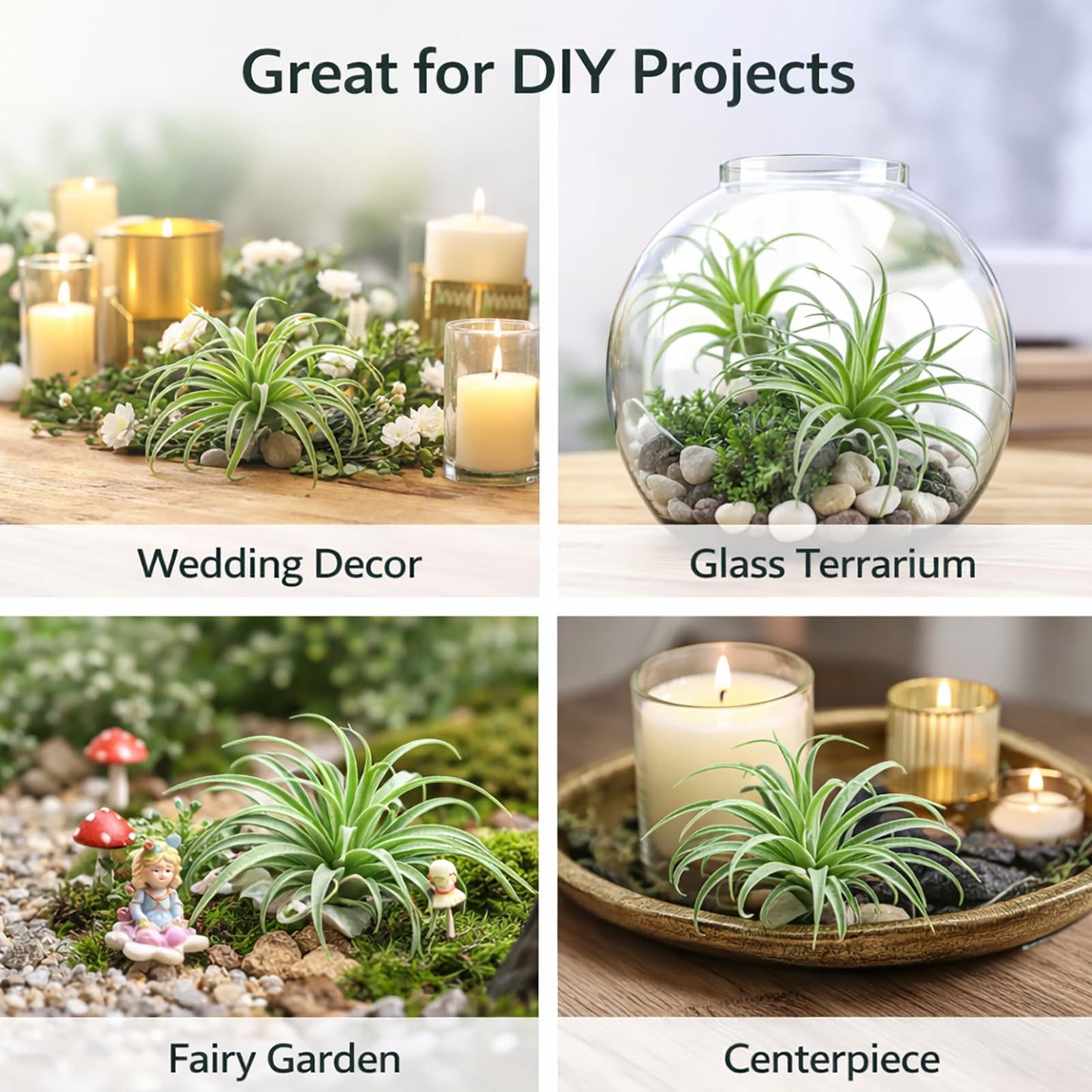 2 Pack Artificial Air Plants, Realistic Looking Faux Tillandsia Succulents Plants for Home Decor, Indoor Outdoor Garden, Terrarium, Office Desk, Wedding Displays (Green)