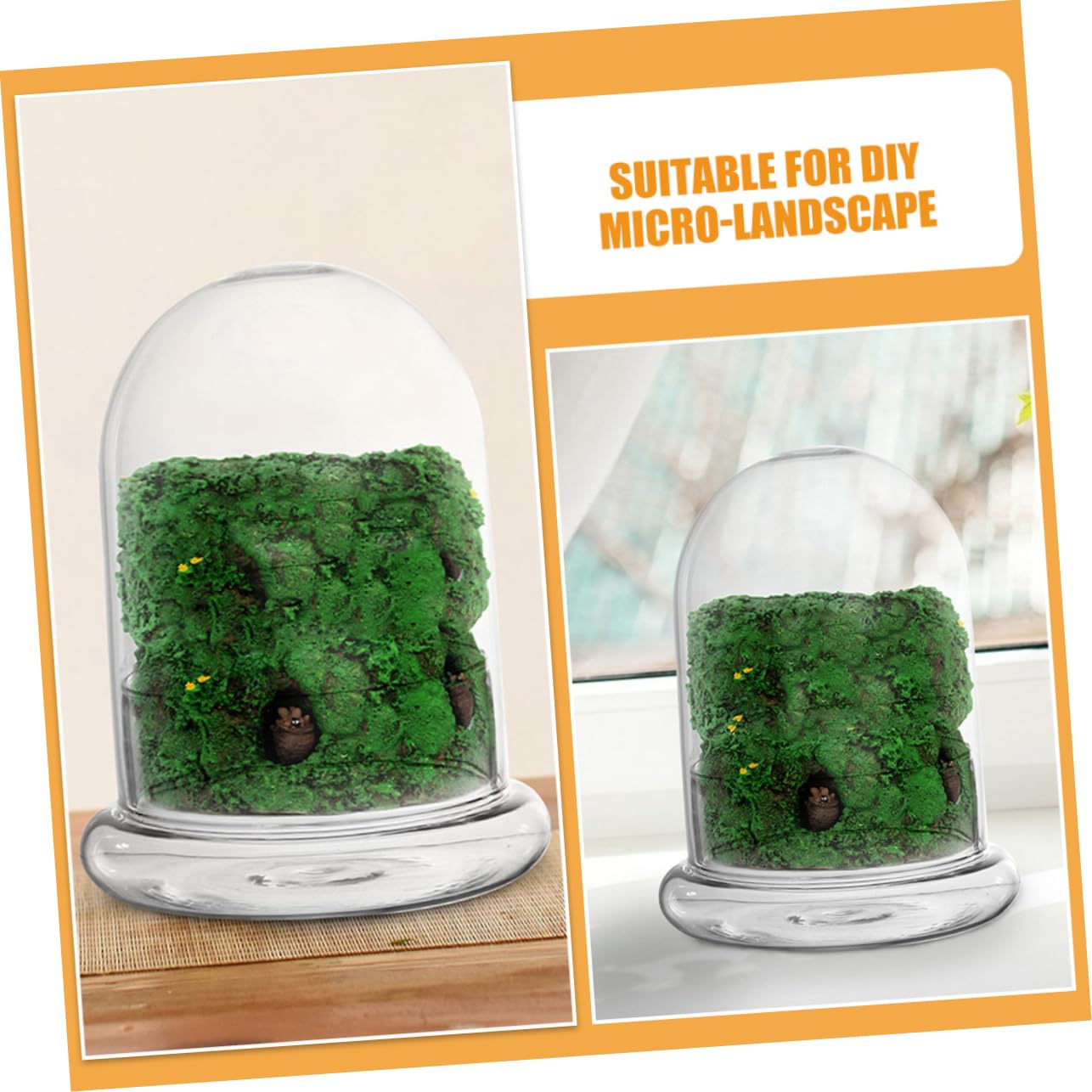 FUNOMOCYA 2pcs Eco Bottle Moss Micro Landscape Bottle Glass Terrarium DIY Plant Container