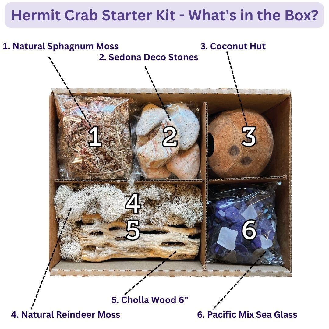 Galápagos (05355) Hermit Crab Starter Kit - Complete DIY Habitat Essentials for Terrestrial and Semi-Aquatic Crustaceans, Includes Cholla Wood, Coconut Hut, Moss, Stones and More, 4.5 Quarts