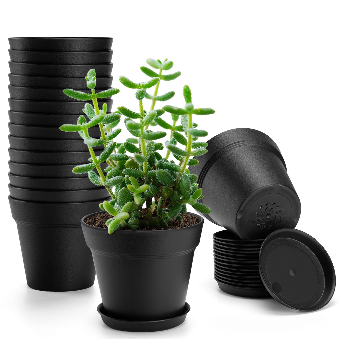 FHWTY 16 Pack Plastic Plant Pots YE & 16 Pack Plastic Plant Pots BK