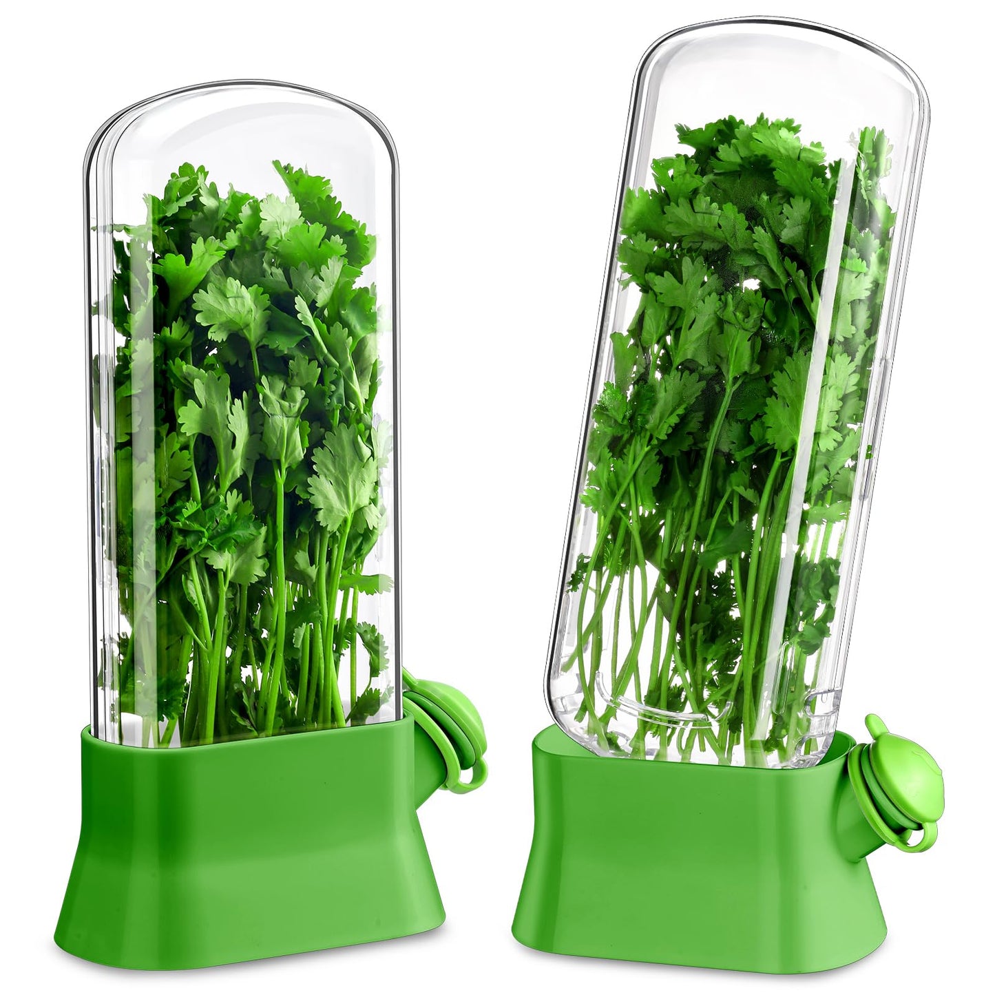Baderke 2 Pieces Herb Saver for Refrigerator Fresh Herb Keeper Cilantro Container for Fridge Saver Pod for Cilantro, Parsley, Asparagus, Keeps Vegetables for 2-3 Weeks(Green)