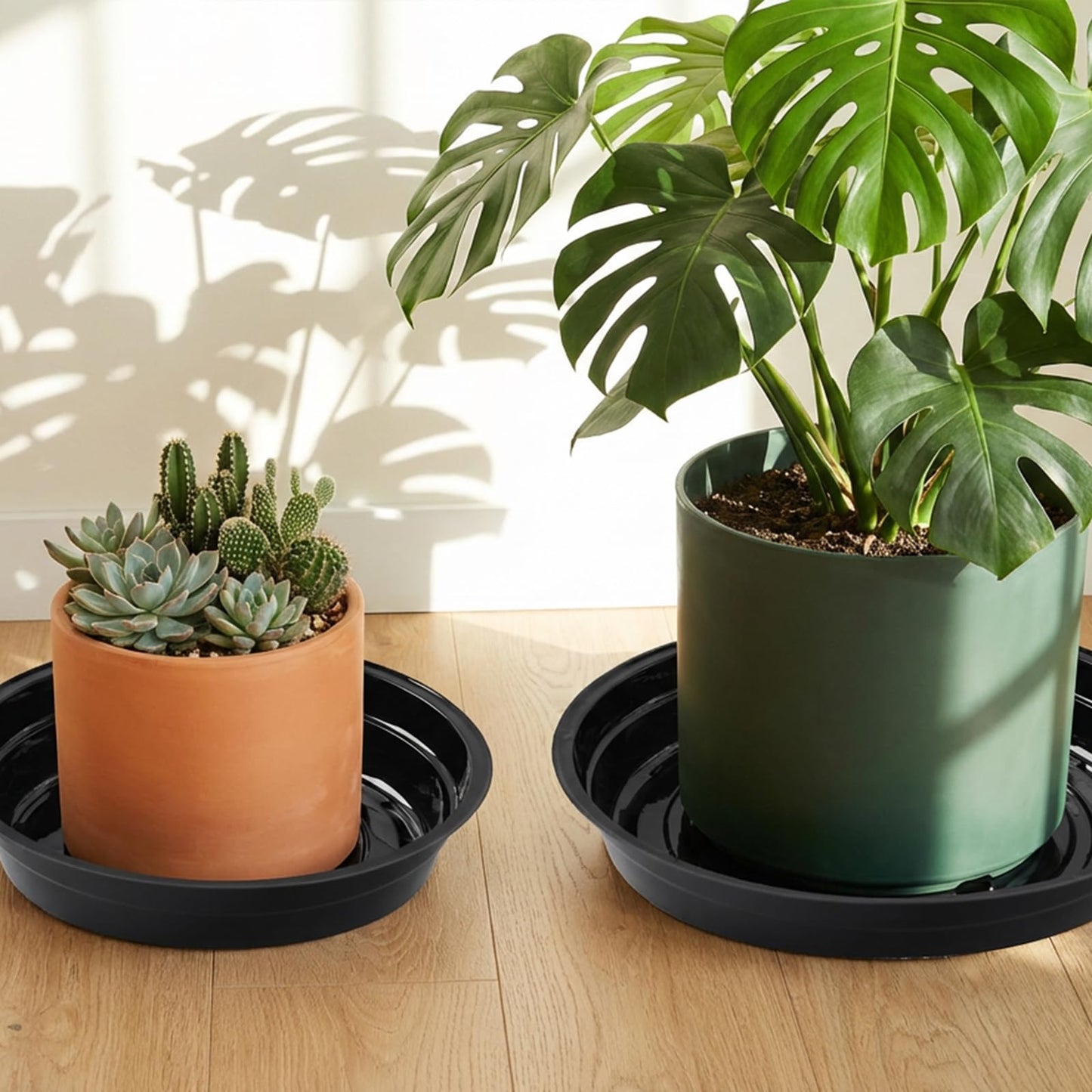 TRUEDAYS 20 Pack Black Plant Saucers – 4 Sizes (6"/8"/10"/12") Plastic Flower Pot Trays for Indoor & Outdoor Plants, Drip Trays to Protect Floors & Surfaces