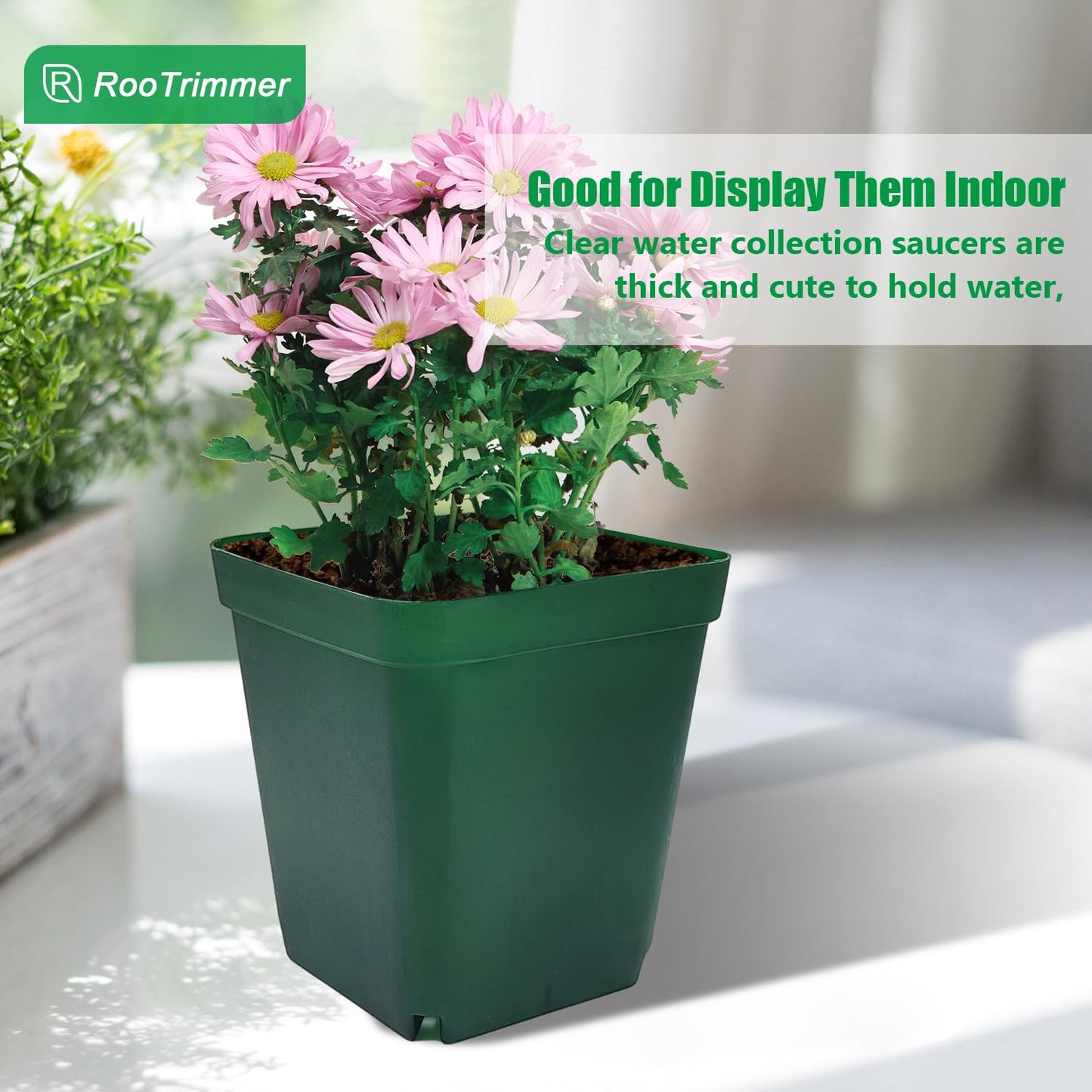 RooTrimmer Square Nursery Seedling Pot 3.5 Inches 90 Pcs, Small Nursery Pot Plastic Thick and Sturdy Seed Start Germination Pot for Plant Propagation and Seeding(Green,3.54 Inches, 90Pcs)