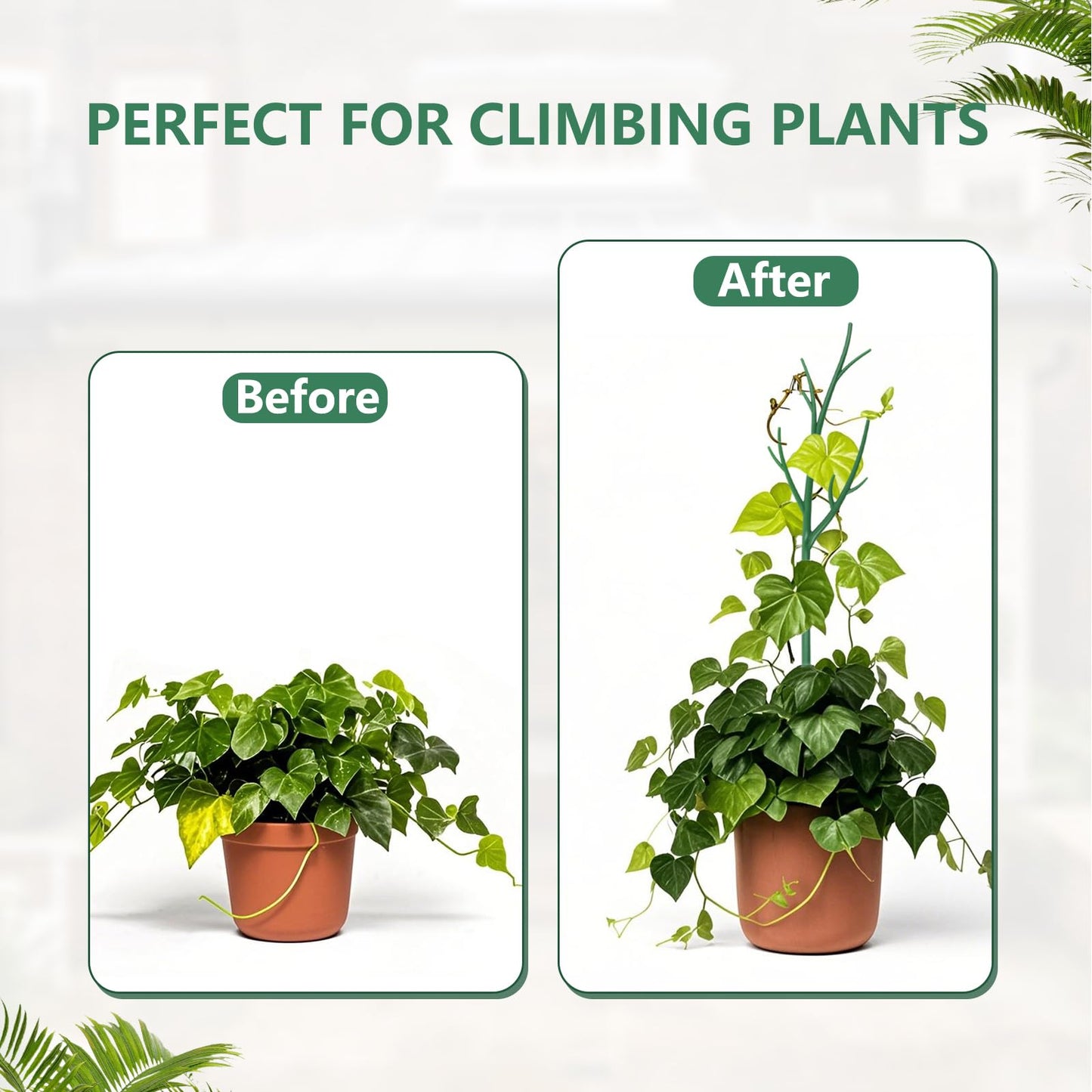 Ruksifg 51 Inch Height Adjustable Plant Sticks Support Tall,Monstera Plant Support Stakes with Extension Poles, Plant Clips, Plant Ties Plant Support for Monstera Plants, Climbing Plants (6 Pack)