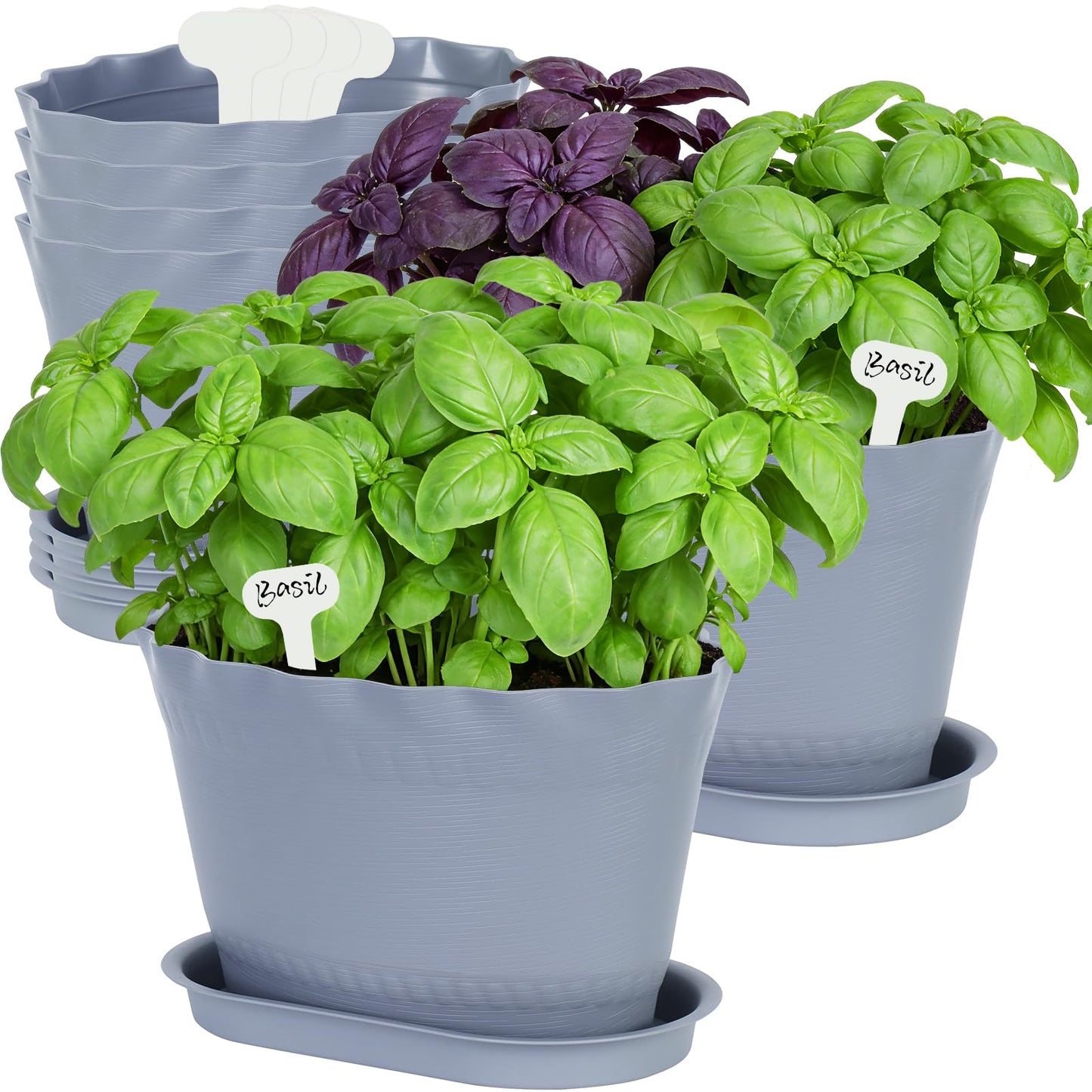 Oliz Herb Planter Pots 6 Pcs, Window Box Planter Flower Plants Pots for Succulent Cactus Flower with Trays, for Home Garden Kitchen Decor (Grey)