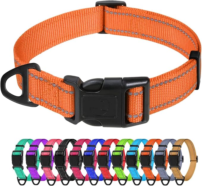 TagME Large Dog Collar, Reflective Nylon Collar, Khaki, 1.0" Width