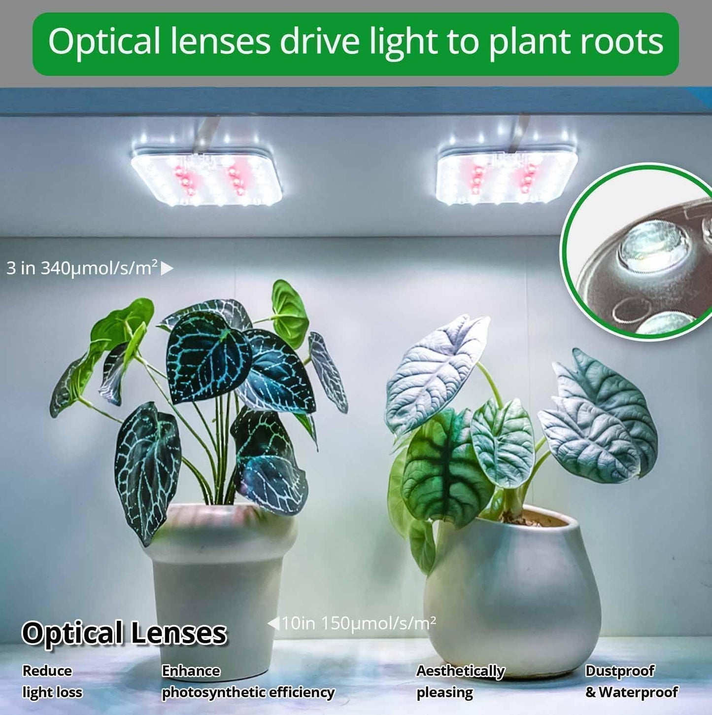 DOMMIA Full Spectrum LED Grow Light for Indoor Plants, 2 Panels 10W with 6/12/16h Timer Dimmable Plant Lights for Flower Veg Plant Growth USB, Daylight White, 1-Pack