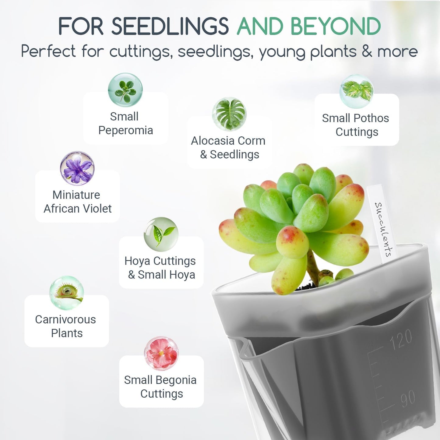 FIMXSD 12 Pack 2" Small Self-Watering Planter Pots - Mini Clear Seed Starter Pots with Visible Water Level, Plastic Nursery Pots for Succulents, Herbs, and Propagation - Includes 12 Plant Labels