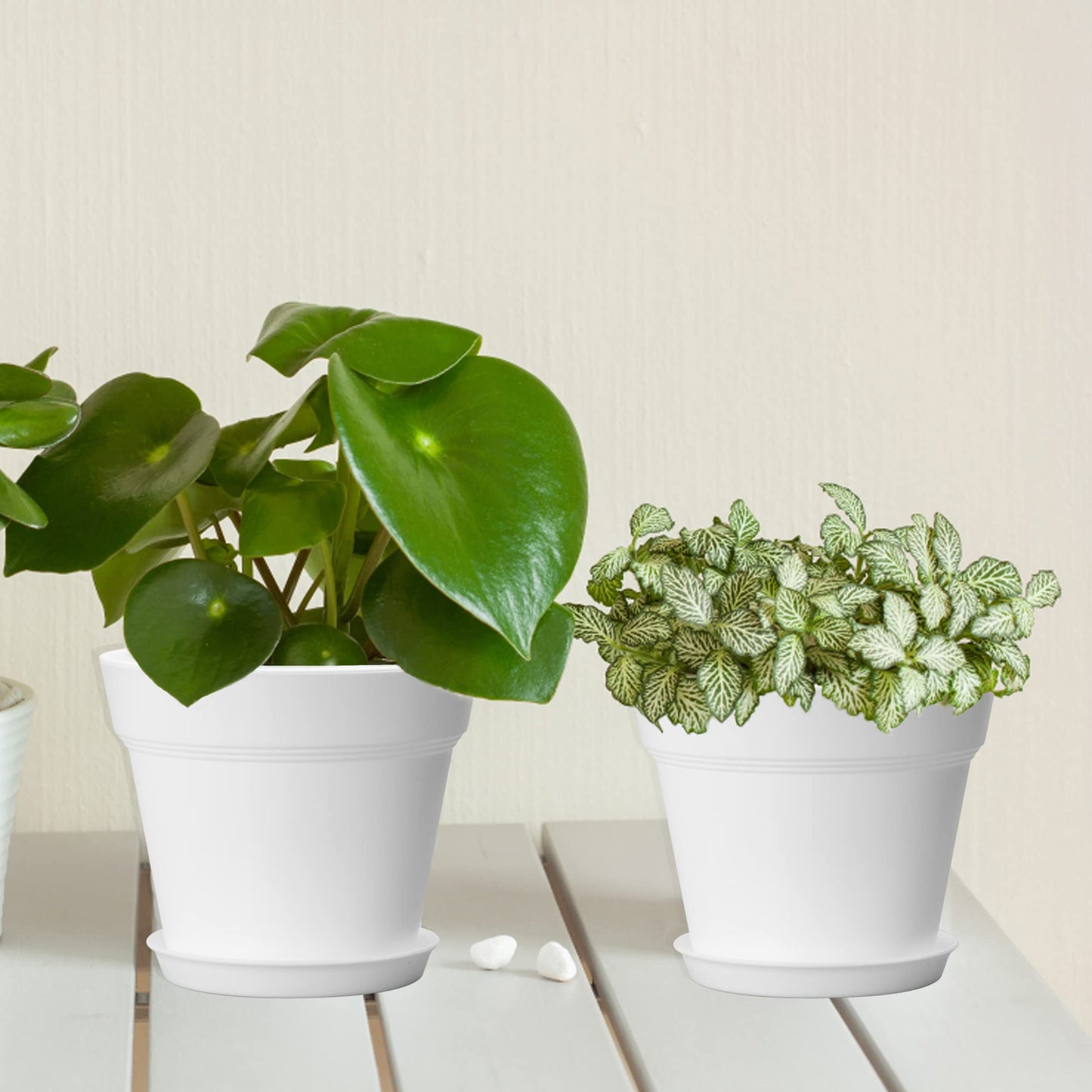FHWTY 6 Pack 7in Plastic Plant Pots Black & 6 Pack 7in Plastic Plant Pots White