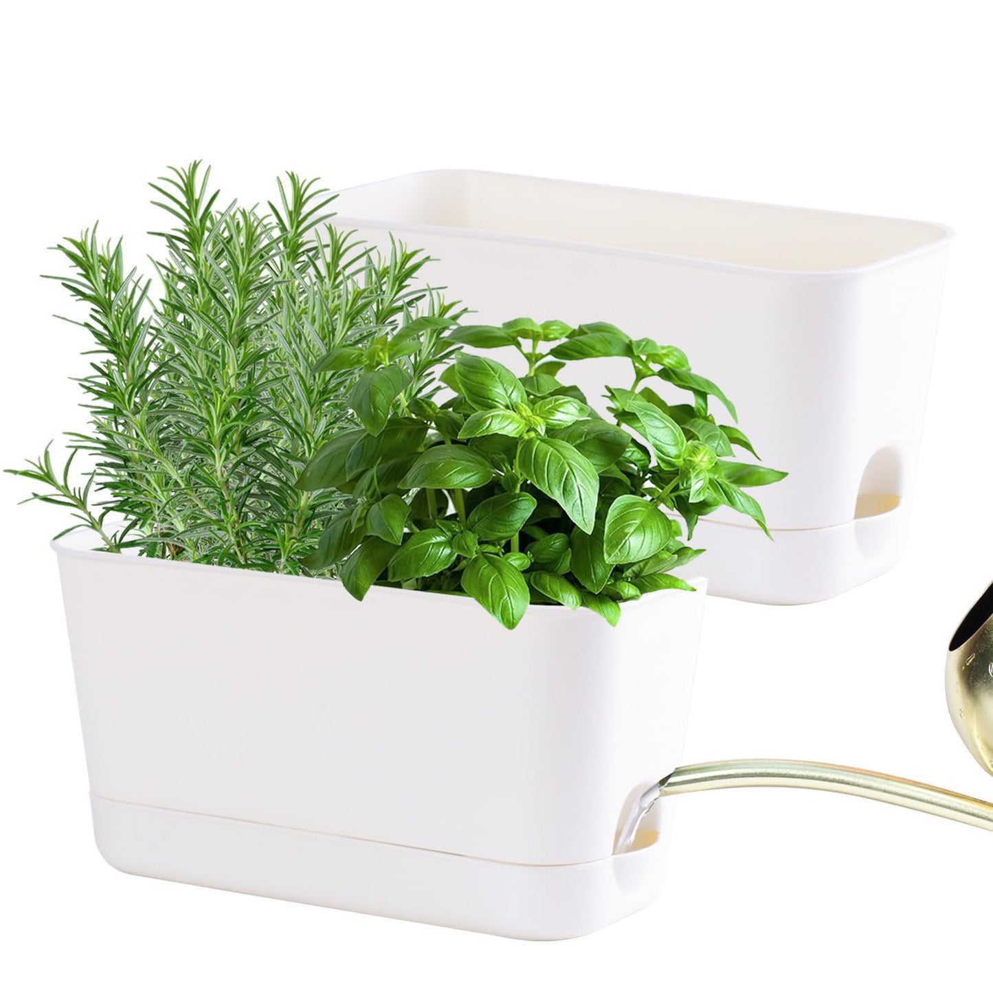 Oliz Self Watering Planters: 2 Packs Rectangular Plant Pots with with Drainage and Tray, 10 Inch Window Pot Self Watering Planter for Herb, Houseplants