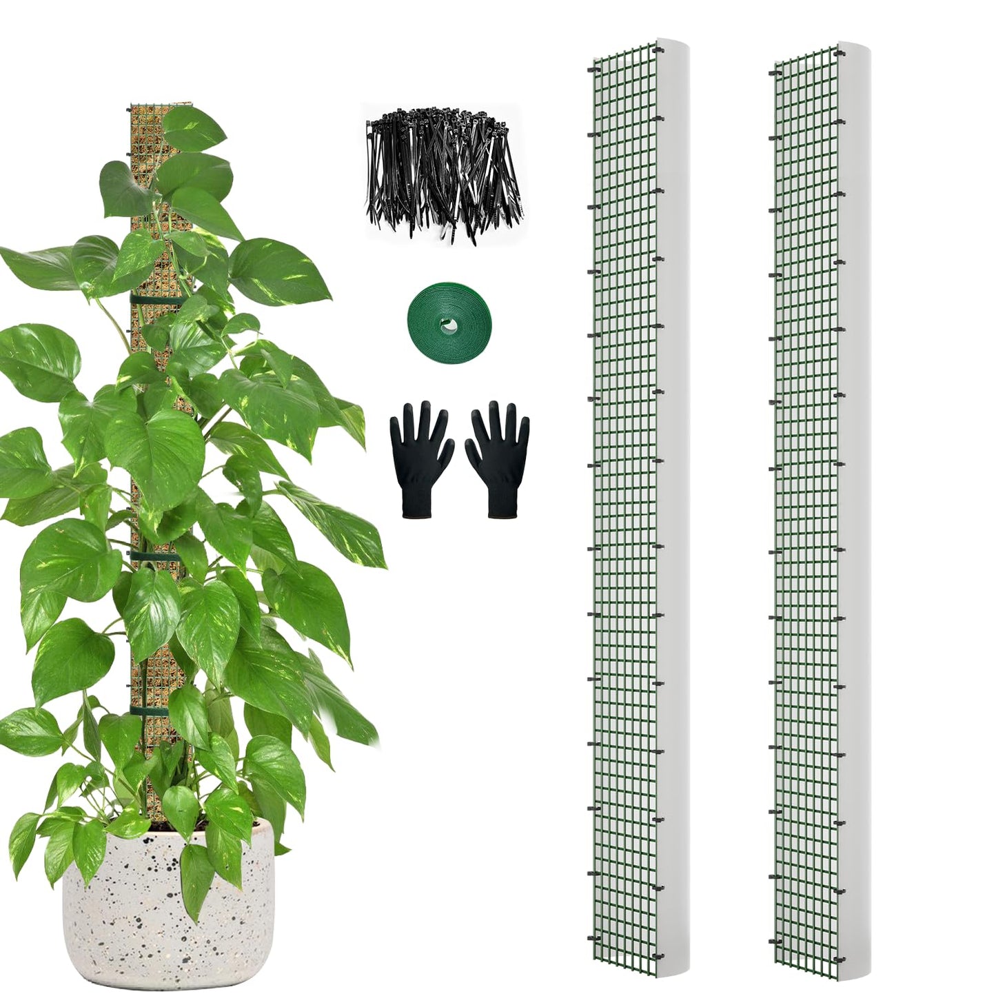 60" Metal Moss Pole, D Shape Sphagnum Moss Pole, Moss Poles for Climbing Plants, Monstera, Indoor Climbing Plants (2Pcs 60")