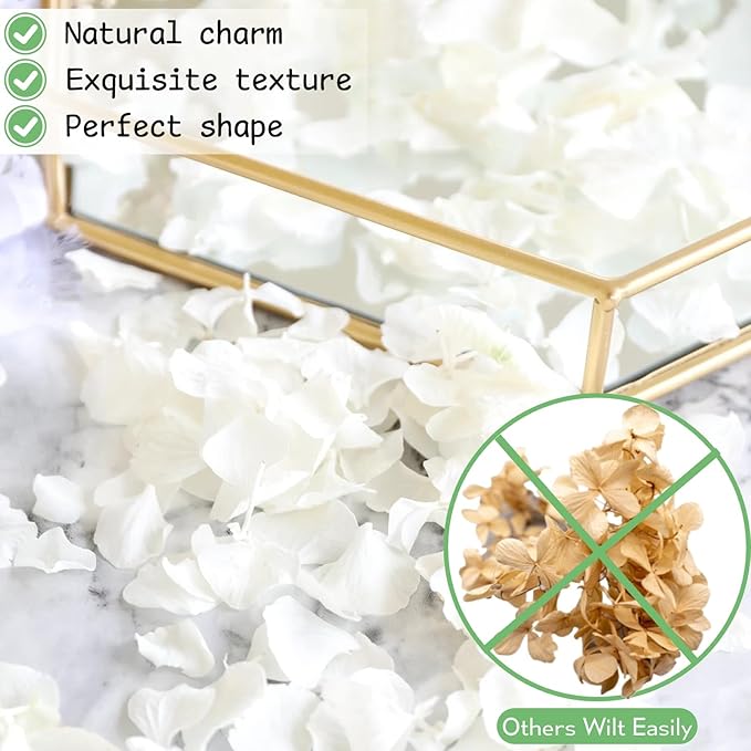 1500Pcs Real Dried Ivory White Hydrangea Flower Petals - Natural smal Petals for Wedding, Party Confetti, Romantic Night, Proposal Decor, Handcrafts (1.06 oz)