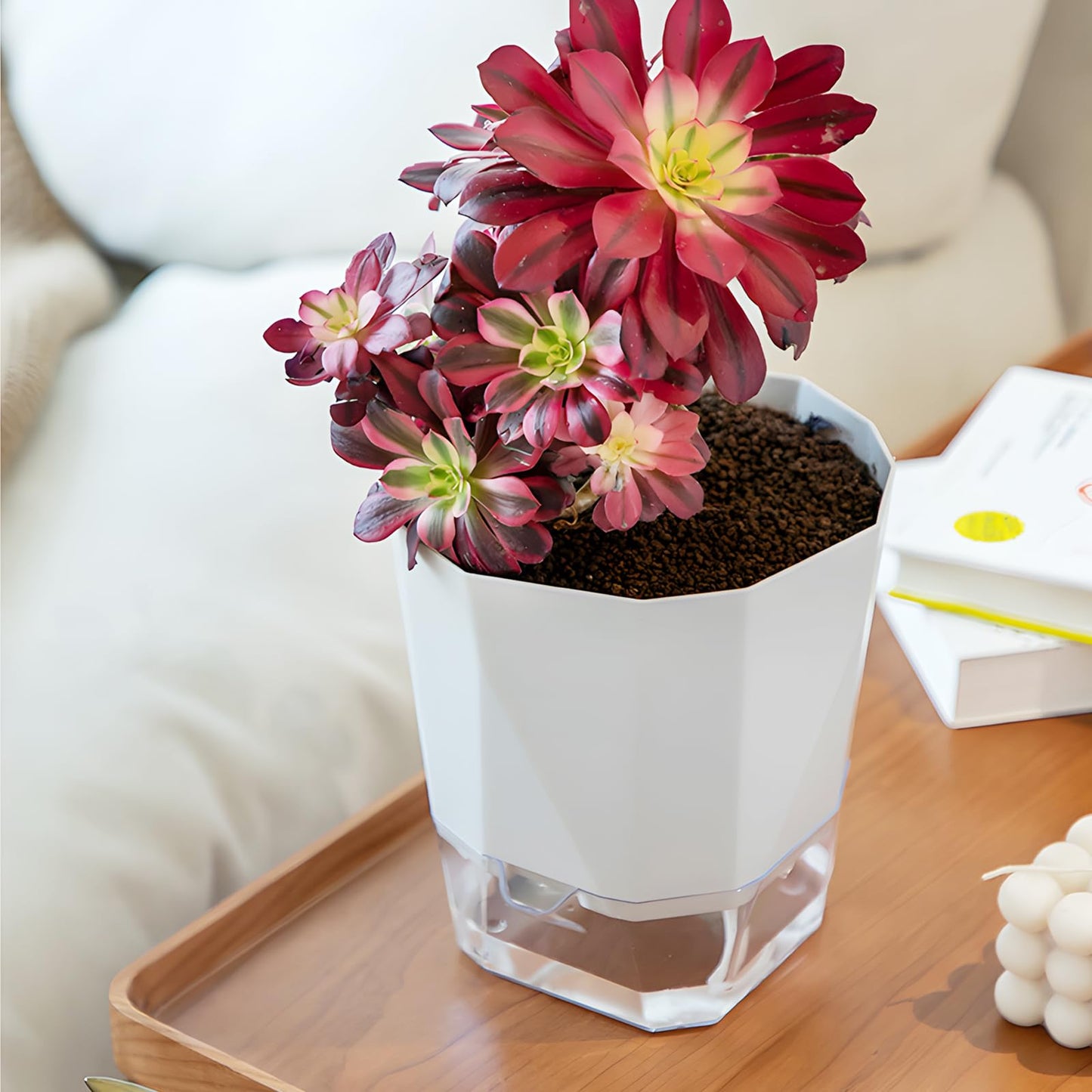 Samhe 3 Pack Self Watering Flower Pots 6.5 Inch, Plant Pots for Indoor Outdoor, Self Watering Planters with Wick Rope and Clear Reservoir