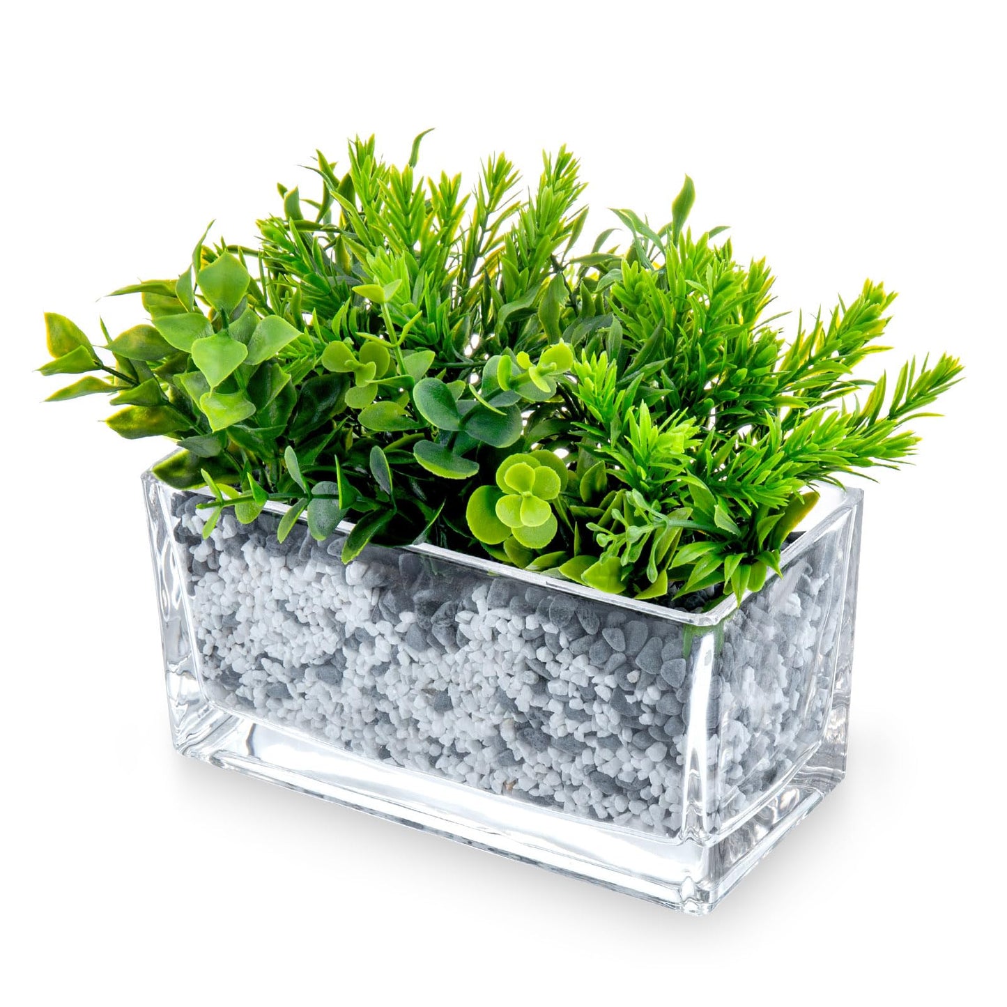 MyGift 7.8 inch Modern Rectangular Glass Vase, Trough Planter, Tabletop Glass Terrarium