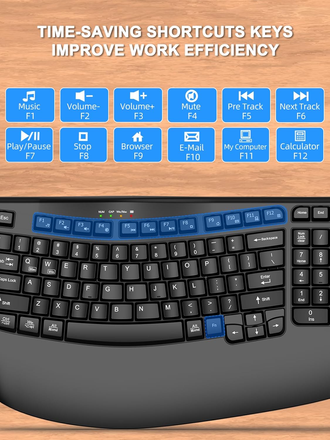 EDJO Ergonomic Wireless Keyboard with Wrist Rest, Wave Keys, Comfortable Natural Typing, 2.4GHz Ergo Wireless USB Computer Keyboard for Multi-OS, Windows, Mac OS, Laptop, PC (Black)