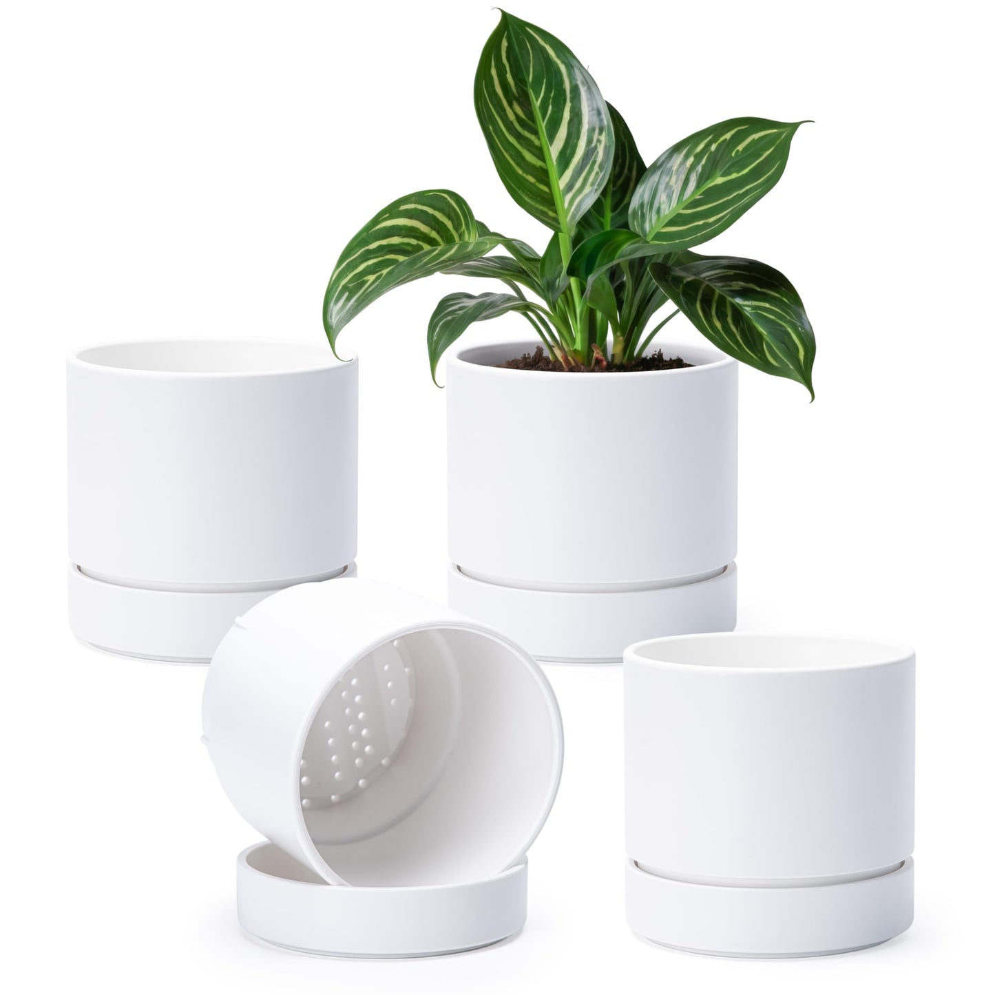 Phoenix Vine 6 Inch Planter Pot with Drainage Hole & Saucer, Deep Water Catch Tray, Straight Cylindrical Round Pot for Plants, Matte White, Pack of 4, 23-B-S-4