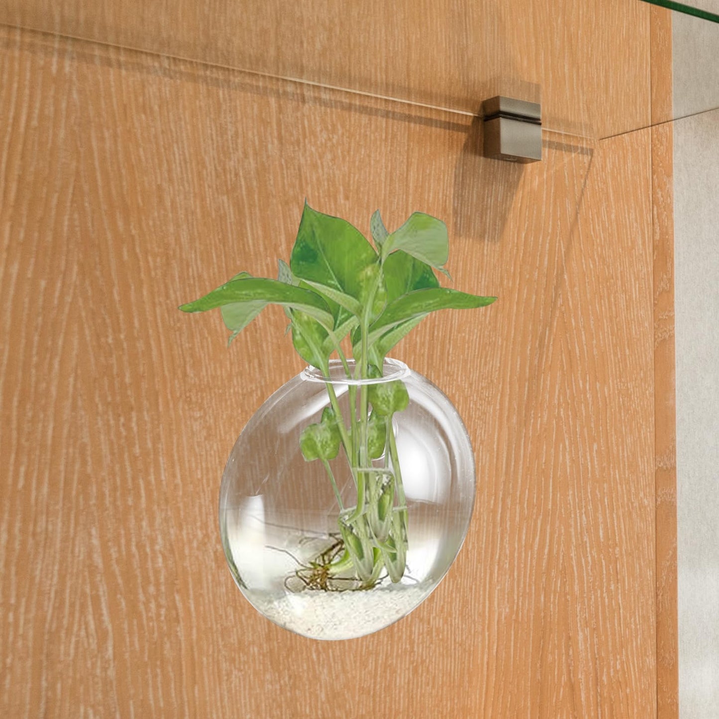 CONGARTENO Wall Mounted Hydroponic Planter Glass Vase, Small Hanging Terrarium Vase for Indoor Plant Propagation, Decorative Wall Pot for Home Décor