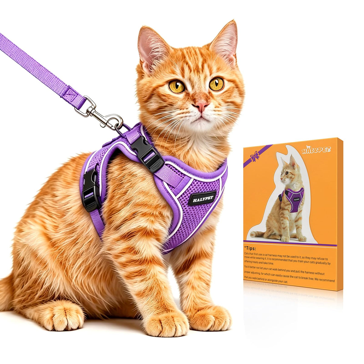 Cat Harness and Leash Set,Escape Proof Kitten Harness,Orange