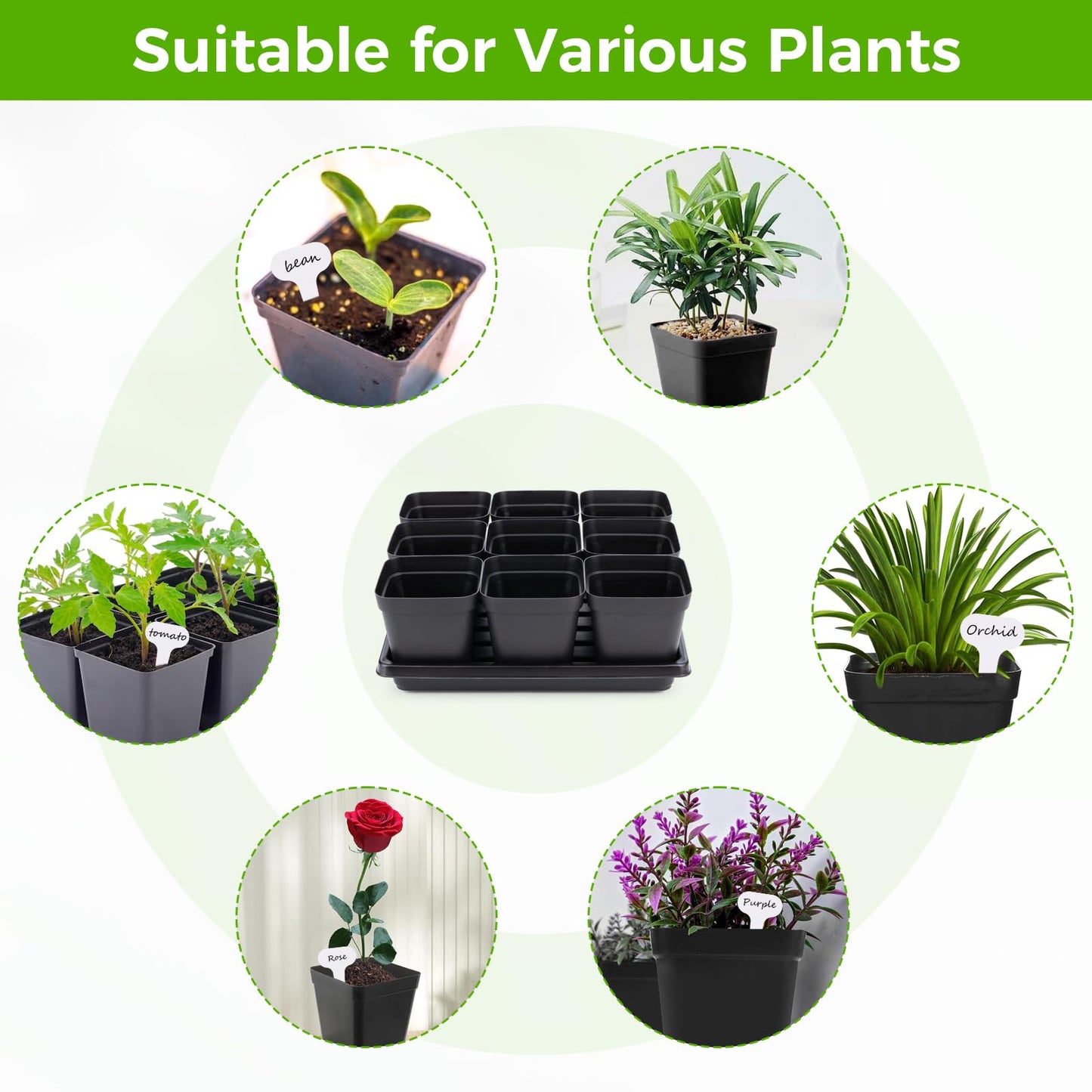 Seed Starter Tray Kit 3.5" 50 Pcs Square Nursery Pots Trays 9 Cell Seed Starting Pots with Drainage Holes 5 Pcs Seed Starting Trays 20 Plant Labels Planting Tool and 1 Pen Planter Nursery Propagation