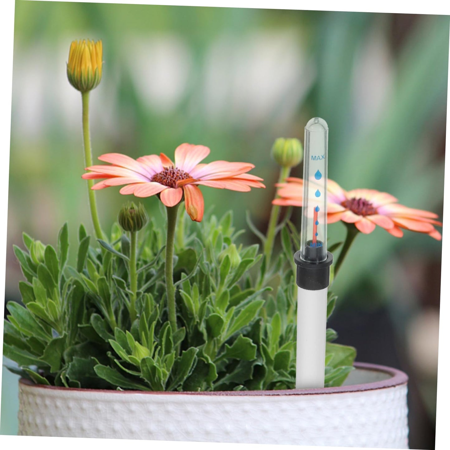 Angoily 2pcs Water Level Indicator Gardening Water Level Meter Plant Buoy Flower Pot Water Gauge Moisture Meter House Plant Pots Water Moisture Tester Suite White Scale Plastic, 36.00X2.00X2.00CM