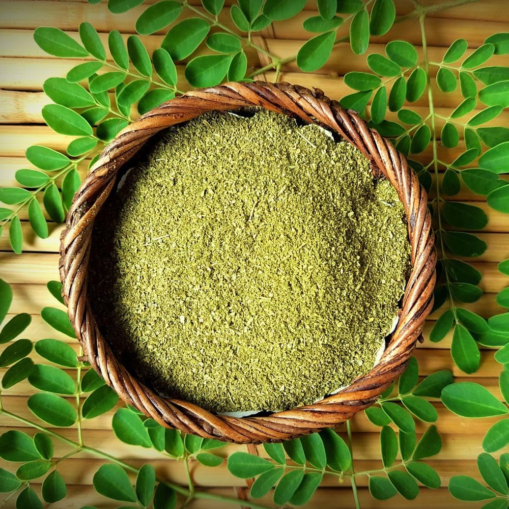 Live Moringa Tree Plant for Planting, 2 Plants Per Pot, Moringa Oleifera Plants 4-8 Inch Tall, Edible Tropical Garden Ready Plant