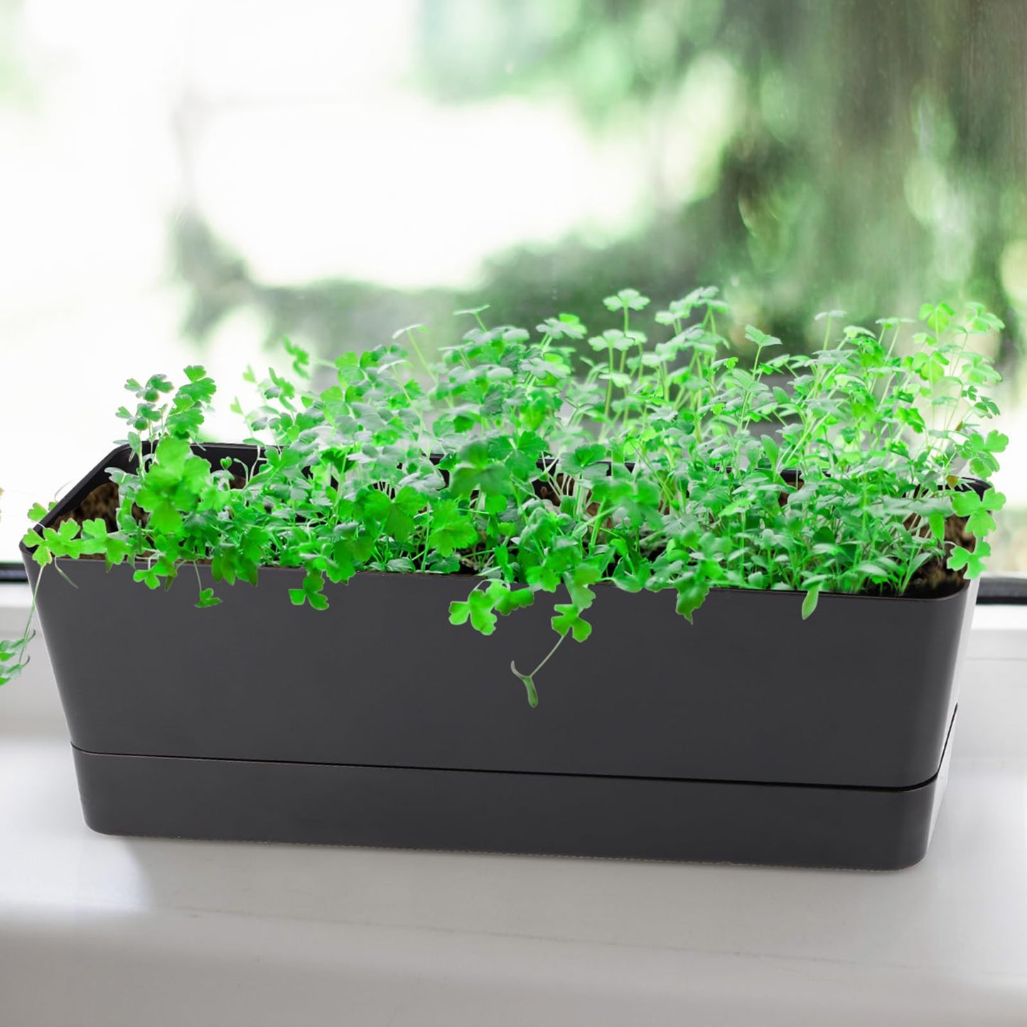 Sanbege Window Box Planter with Tray, 12" Rectangle Plant Pot, Pack of 3 (Black)
