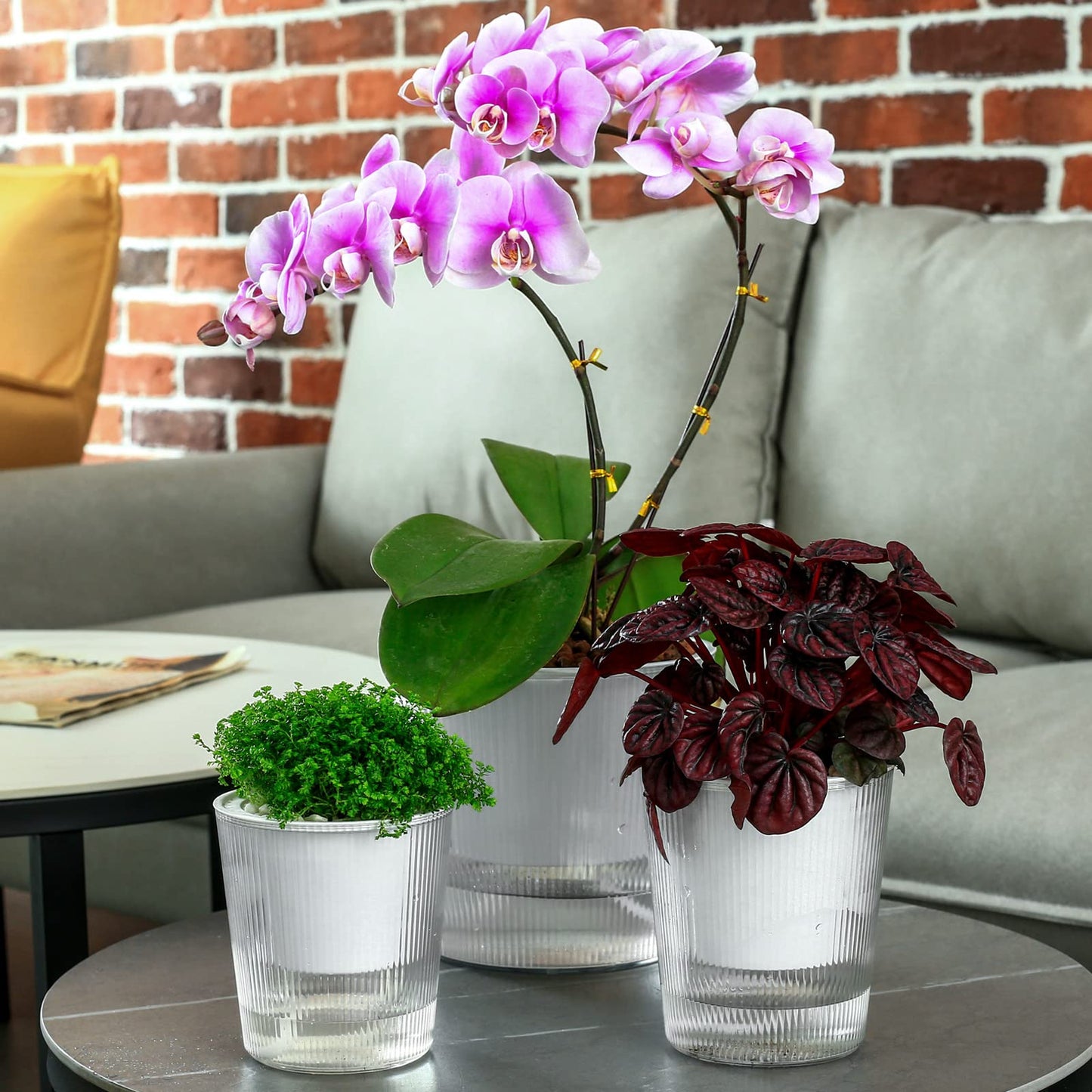 10-Pack 4.5 Inches Clear Self-Watering Pots for Indoor Plants Small Orchid Flower Pot Plastic Wick Planters for African Violet, Home Decor Pot
