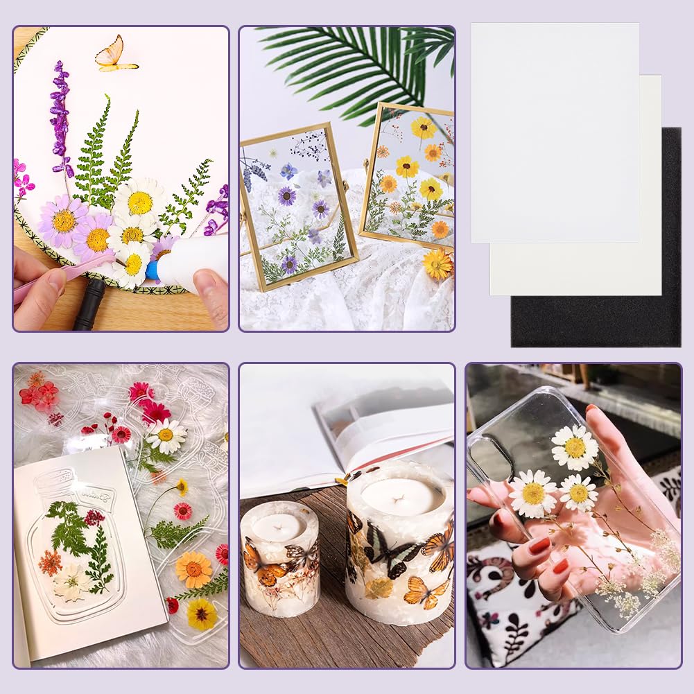 BENECREAT 50pcs Flower Pressing Kit, 10pcs Absorbent Paper, 10pcs Sponge, 30pcs Lining Blotter Paper for Dried Flower Crafts, Scrapbooking, Invitations