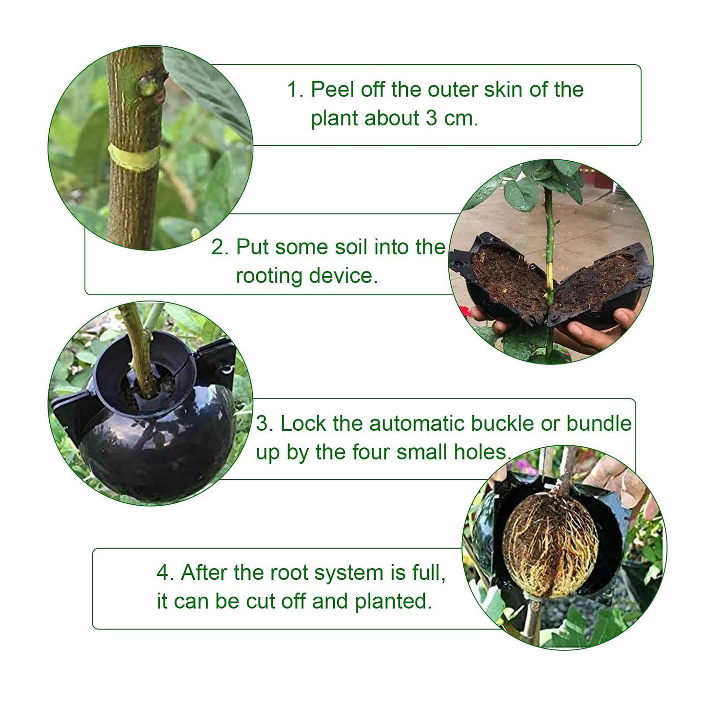 EATHEATY 30 Pcs Air Layering Pods - Reusable Plant Root Growing Box - High Pressure Propagation Ball Grafting Device - Botany Root Controller for Various Plants Asexual Reproduction, Black