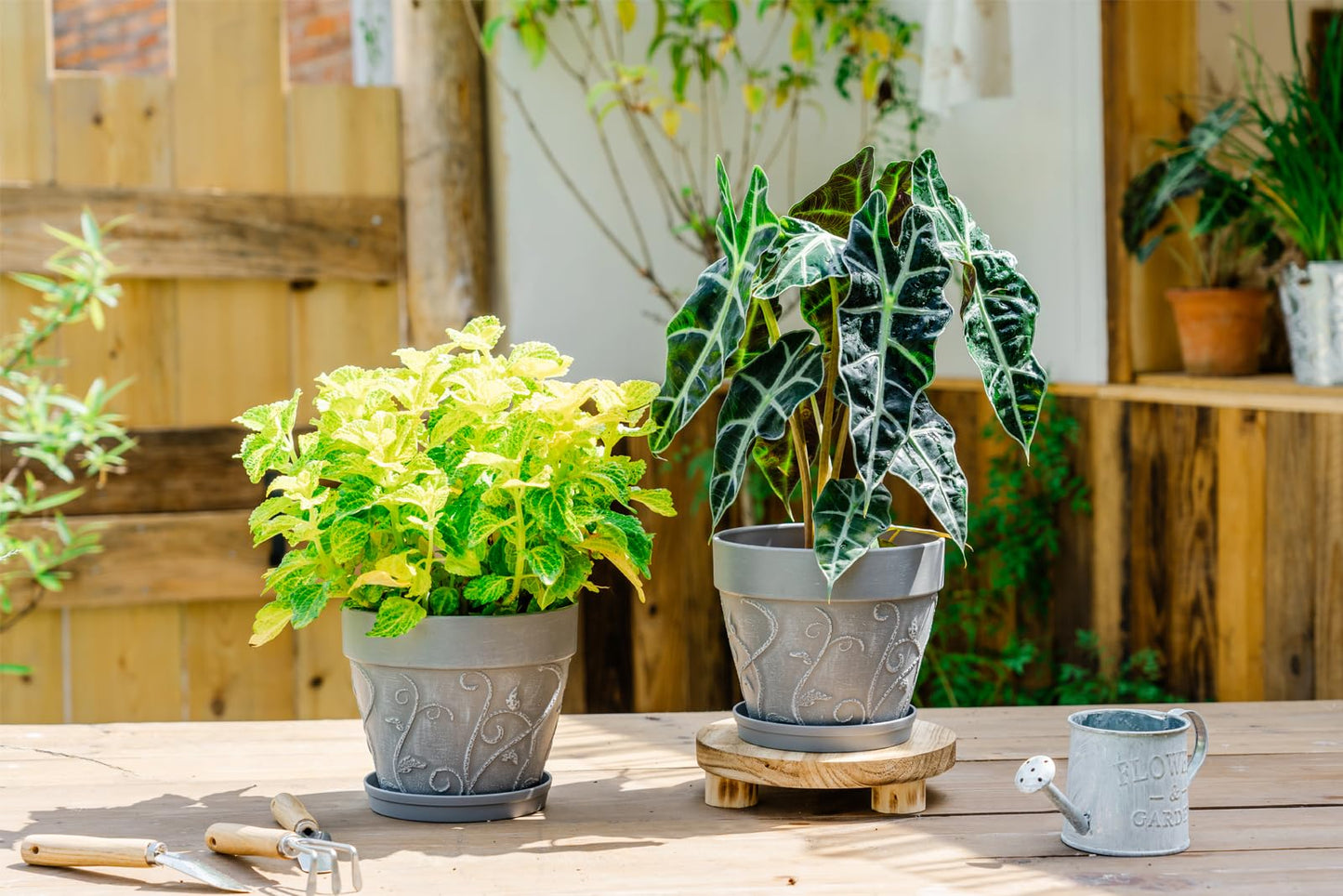 Melphoe Plant Pots Indoor with Drainage & Saucer, 2Pack 7 inch Flower Pots Outdoor Planters for Indoor Plants Garden Home Decor Cactus Succulent, Rigid Plastic (Imitation-Terracotta) Vine-Embossed