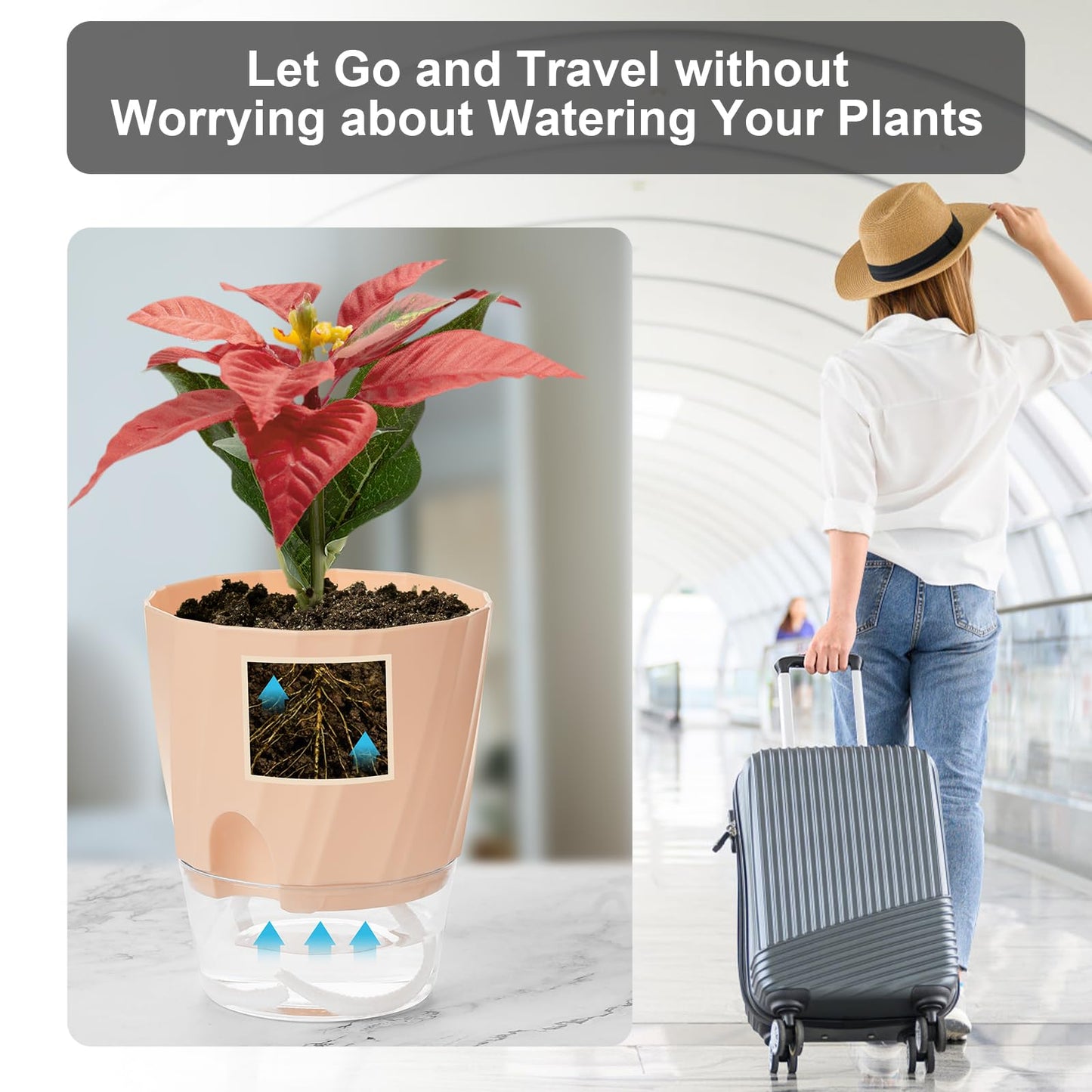 KIMCHOMERSE Self Watering Plant Pots 4.7 Inch, 3 Pack Indoor Planters with Drainage Holes & Saucers, Decorative Plastic Flower Pots for House Plants Home Office Decor (White, Pink, Blue)