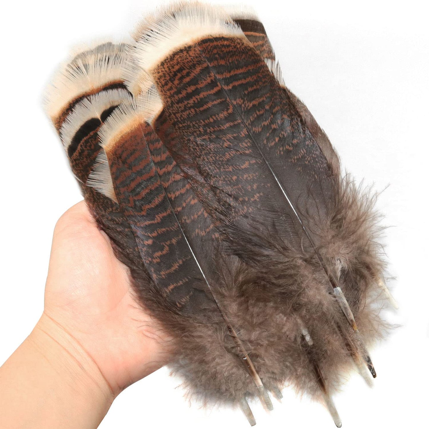 LUORNG Natural Turkey Feather 20PCS 15-20cm/5.9-7.87inch Precious Turkey Tail Feathers for DIY Costume Headress