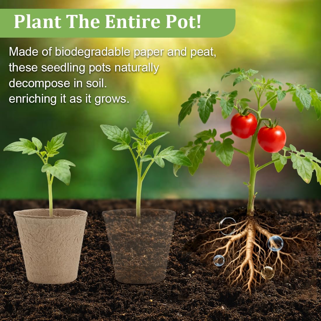 RooTrimmer 3.15 Inch Peat Pots 100 Pcs with 20 Cell Seedling Trays 5 Pcs, Biodegradable Seed Starter Pots with Drainage, Reusable Nursery Tray for Seed Starting Indoor Gardening Propagation Kit 5 Sets