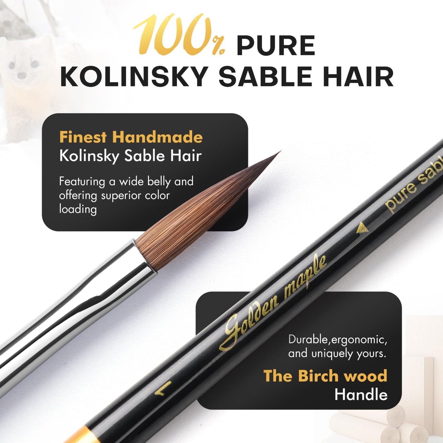 Golden Maple Kolinsky Sable Miniature Paint Brushes, 5PC Professional Detail Paint Brushes Arrow Point Paint Brush Set for Models, Watercolor Details, Figures & Gouache Painting, Black