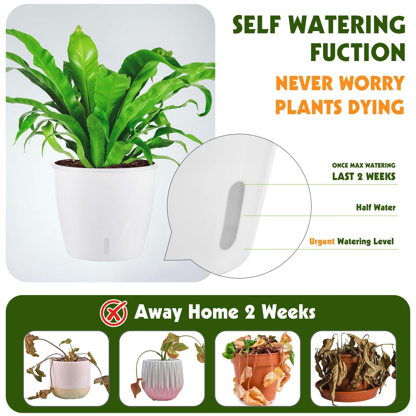 KvyusFlourish Self Watering Pots for Indoor Plants, 6-Pack 5'' Self Watering Planter with Drainage Holes, Small African Violet Pots with Water Indicator, Clear Wick Orchid Pot, White