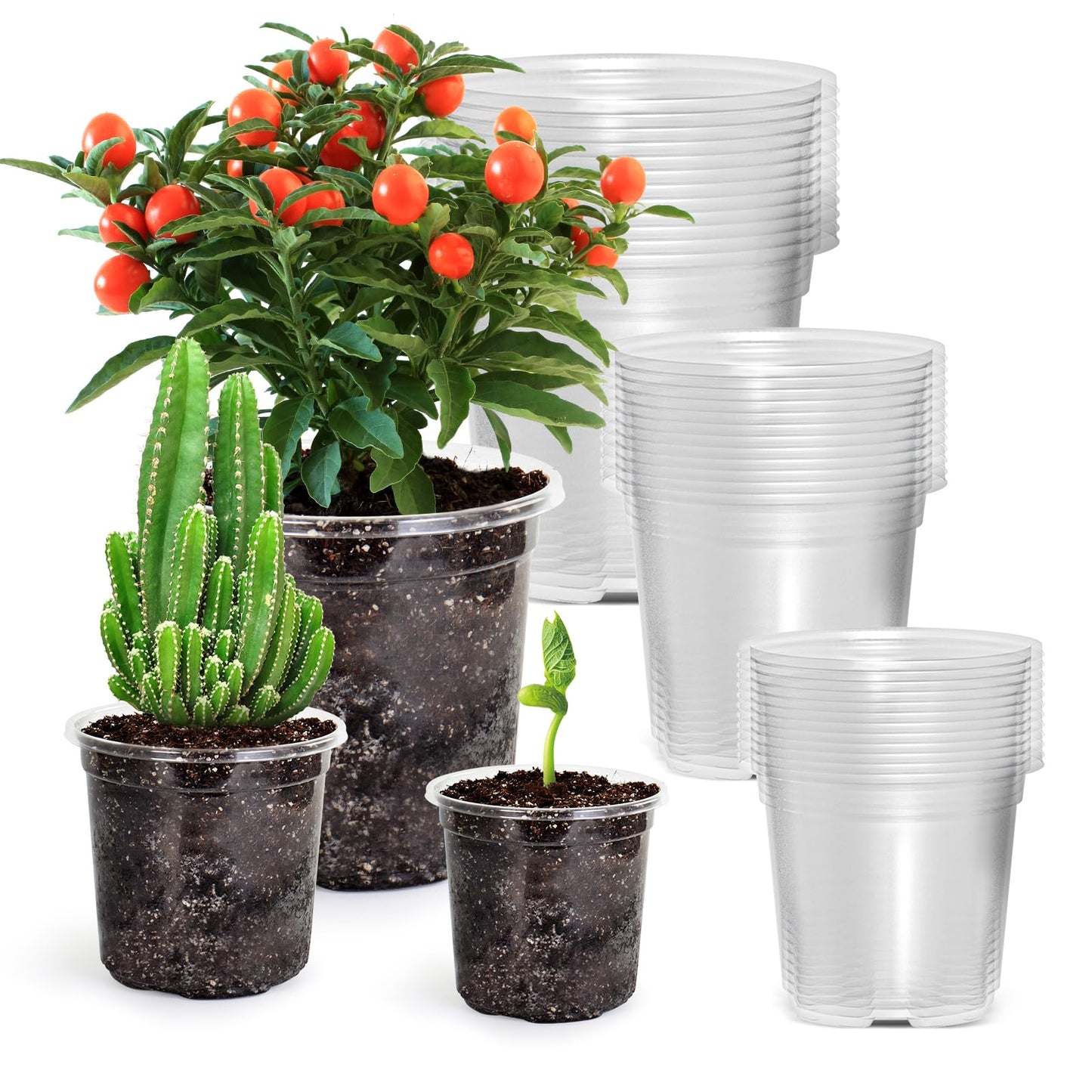 Bluepro 36 Packs 5/4/3.5 Inch Reinforced Clear Nursery Pots with Drainage Hole, Transparent Variety Pack Plastic Plant Pot Seedling Planter for Vegetable Propagation, Root Cutting, Seed Starting