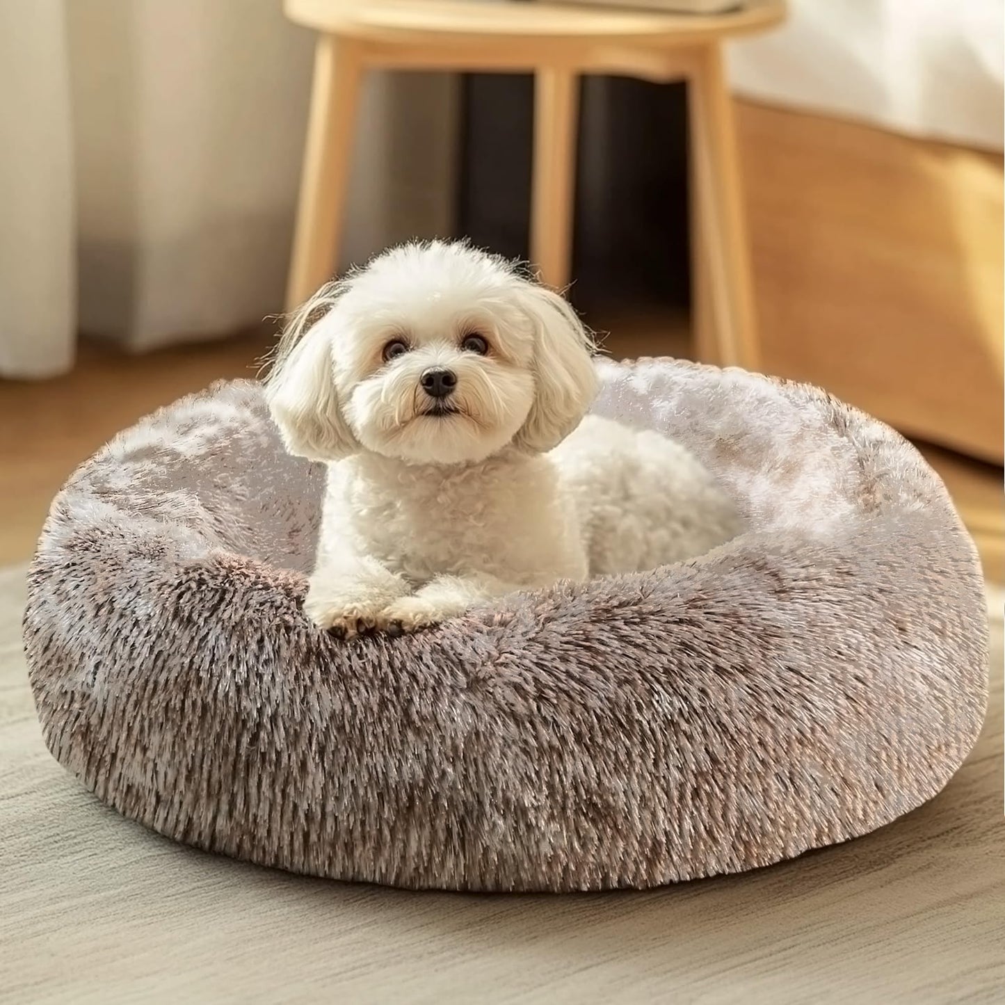 JOLLYVOGUE Dog & Cat Bed, Calming Anti-Anxiety Pet Bed for Small Dogs, Fluffy Donut Cushion for Small and Medium Pets (20")
