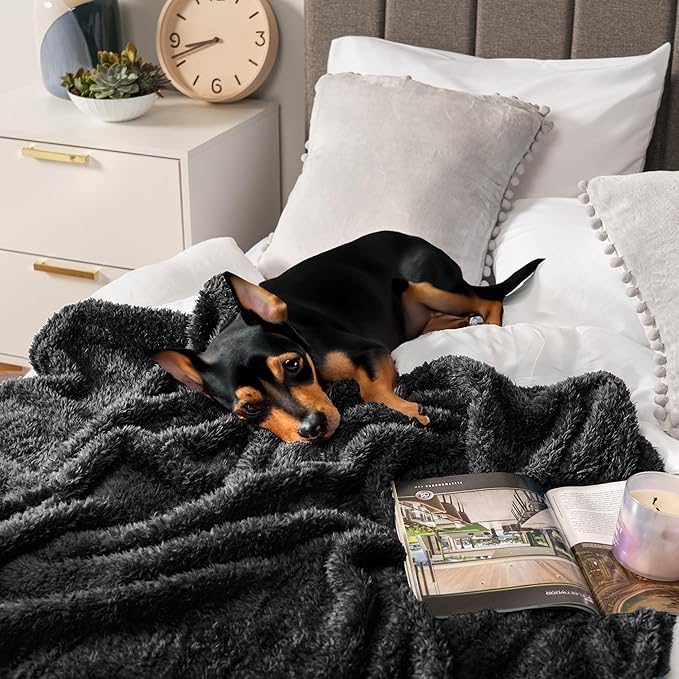 PAVILIA Sherpa Throw Blanket for Couch Sofa, Black Fluffy Warm Plush Blanket for Bed, Cozy Super Soft Lightweight Throw, Fuzzy Decorative Blanket, All Season Home, 50x60