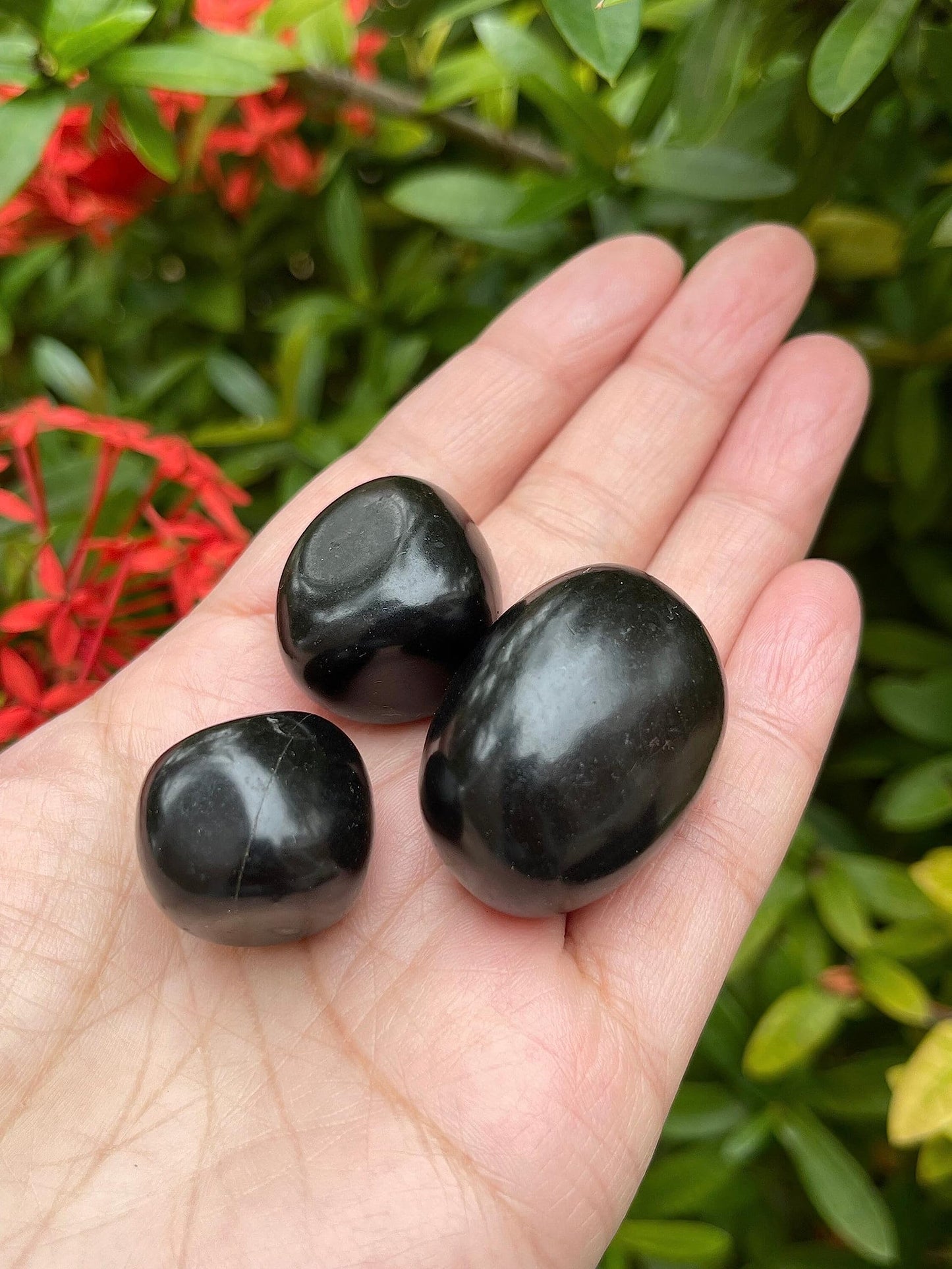 GAF TREASURES 5 Pcs Jet Tumbled Stones, Polished Jet Gemstone, Jet Healing Crystals (Jet)