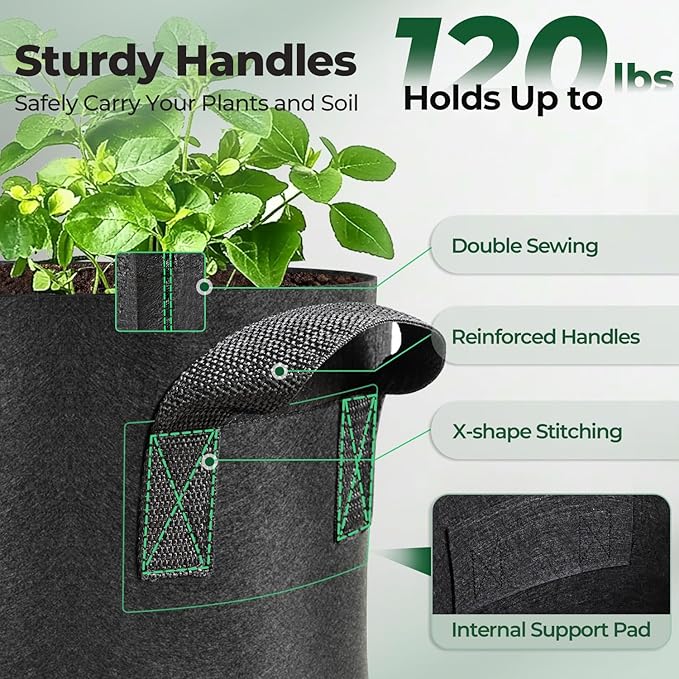 T4U 10 Gallon Grow Bags, Fabric Pots for Plants Potato Planter Grow Garden Bags to Grow Vegetables Tomato Planting Growing Bags Smart Plant Pot Container Gardening for Outdoor, Black Nonwoven 10 Pack